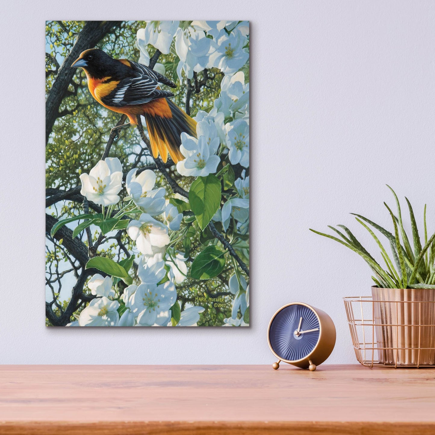 Epic Art 'Midmorning Breeze - Baltimore Oriole' by Mark Mueller Wildlife Art, Acrylic Glass Wall Art,12x16