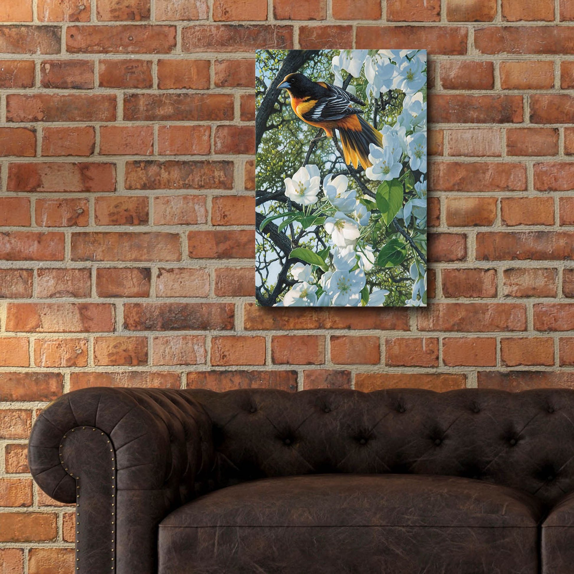 Epic Art 'Midmorning Breeze - Baltimore Oriole' by Mark Mueller Wildlife Art, Acrylic Glass Wall Art,16x24