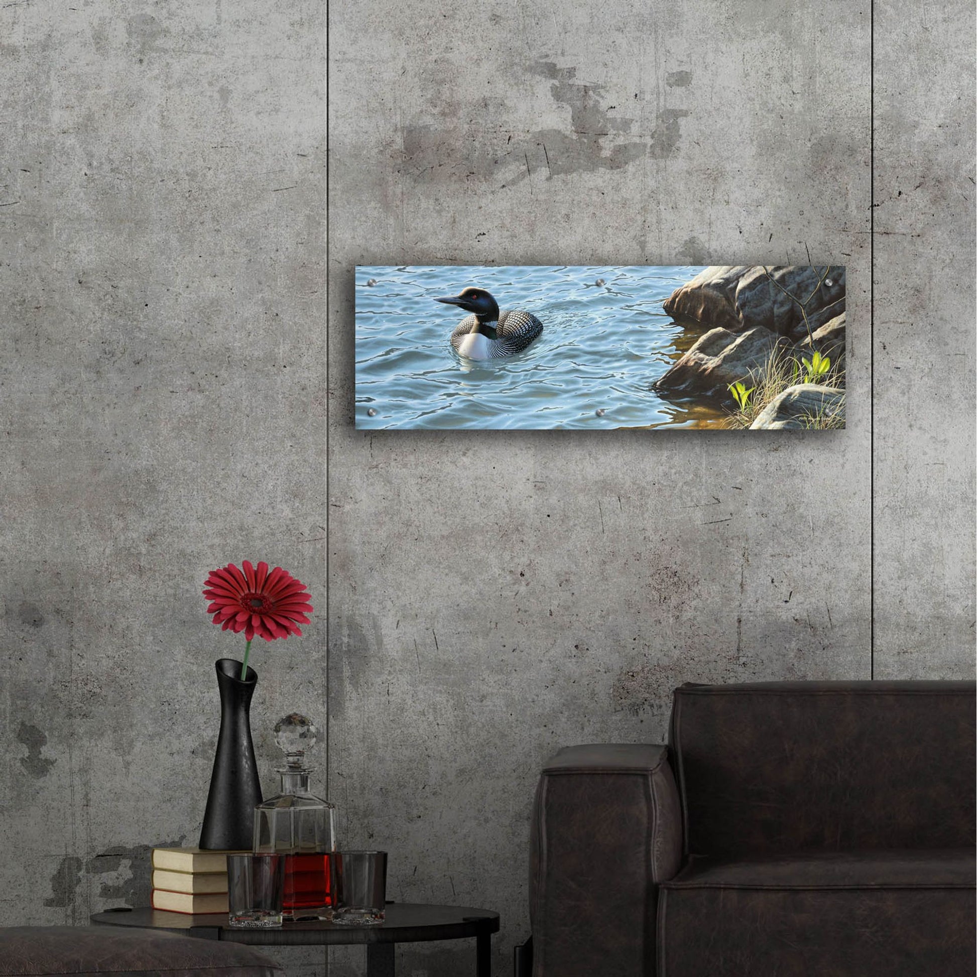 Epic Art 'On the Rocks - Loon' by Mark Mueller Wildlife Art, Acrylic Glass Wall Art,36x12