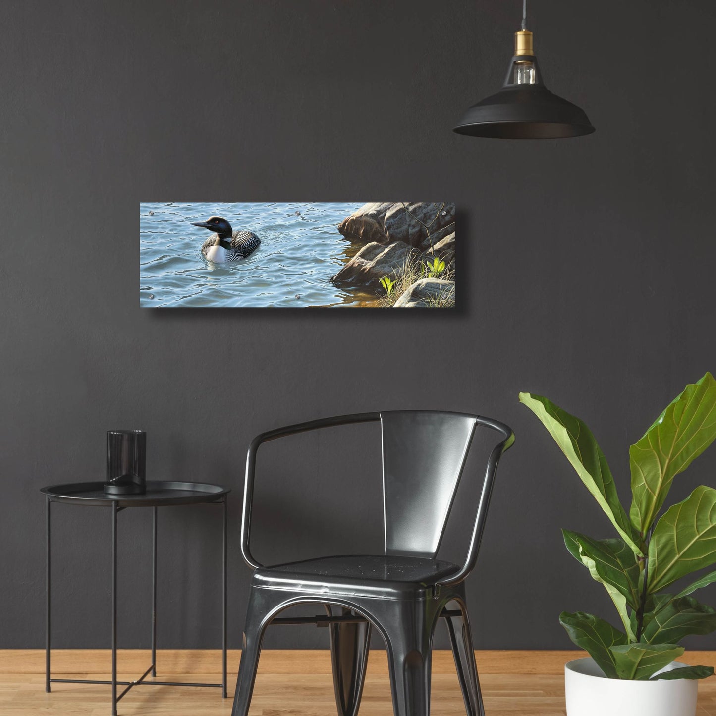 Epic Art 'On the Rocks - Loon' by Mark Mueller Wildlife Art, Acrylic Glass Wall Art,36x12