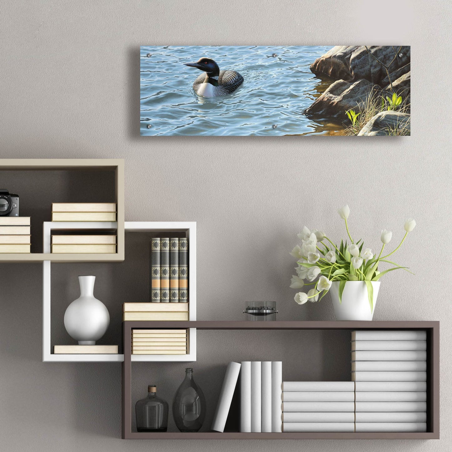 Epic Art 'On the Rocks - Loon' by Mark Mueller Wildlife Art, Acrylic Glass Wall Art,36x12