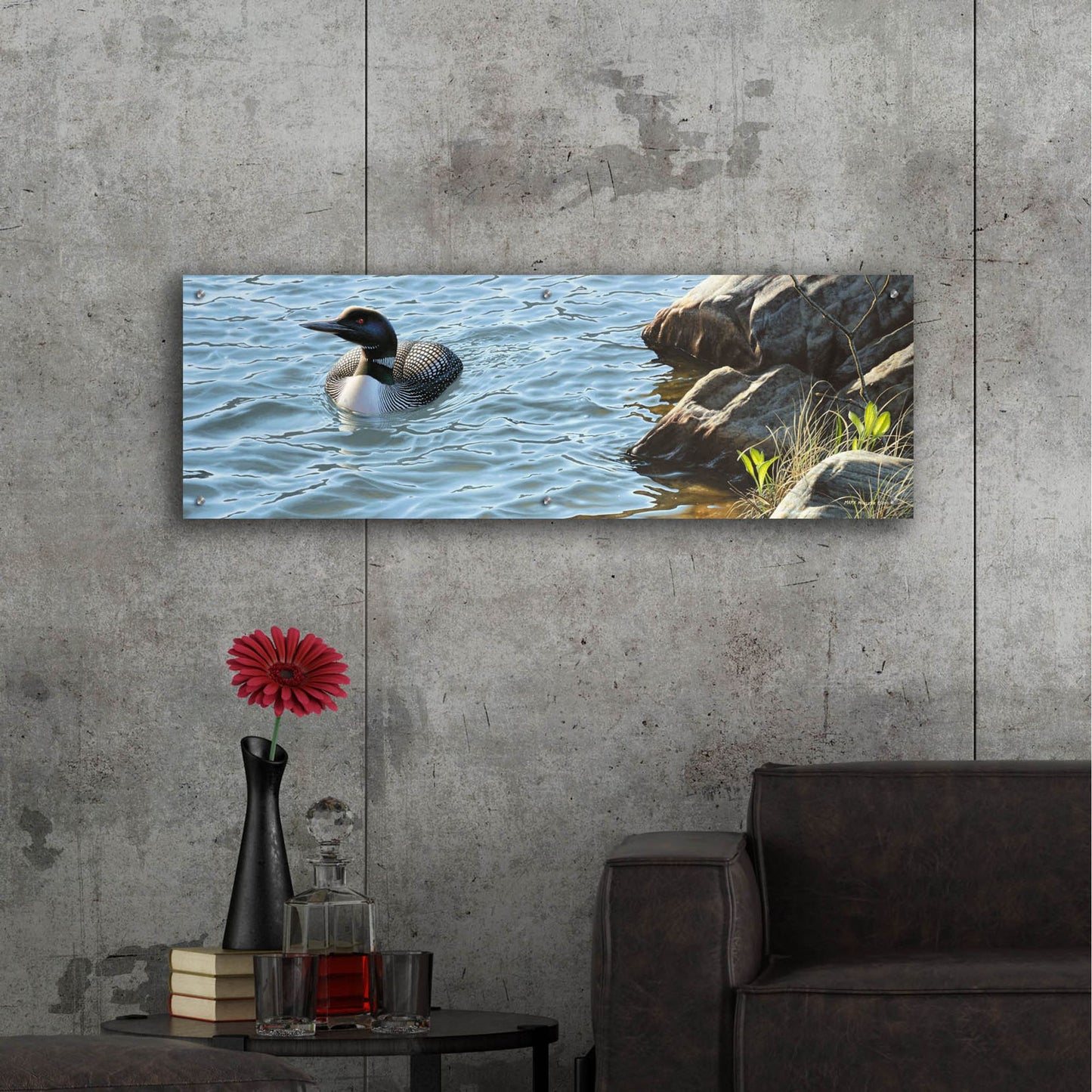 Epic Art 'On the Rocks - Loon' by Mark Mueller Wildlife Art, Acrylic Glass Wall Art,48x16