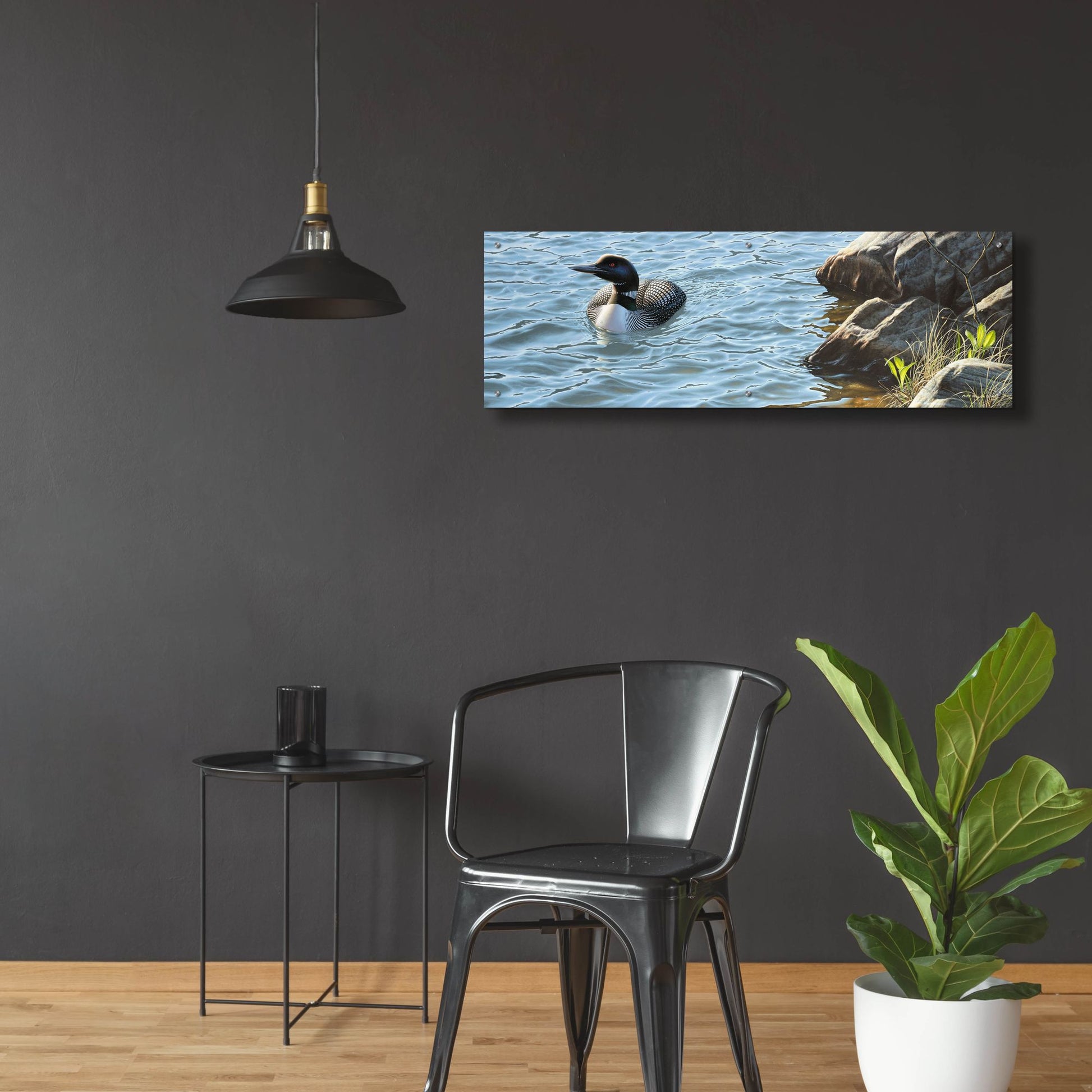 Epic Art 'On the Rocks - Loon' by Mark Mueller Wildlife Art, Acrylic Glass Wall Art,48x16