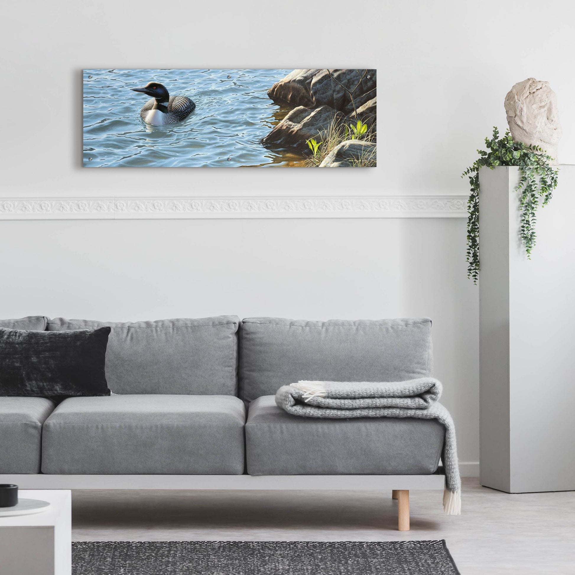 Epic Art 'On the Rocks - Loon' by Mark Mueller Wildlife Art, Acrylic Glass Wall Art,48x16