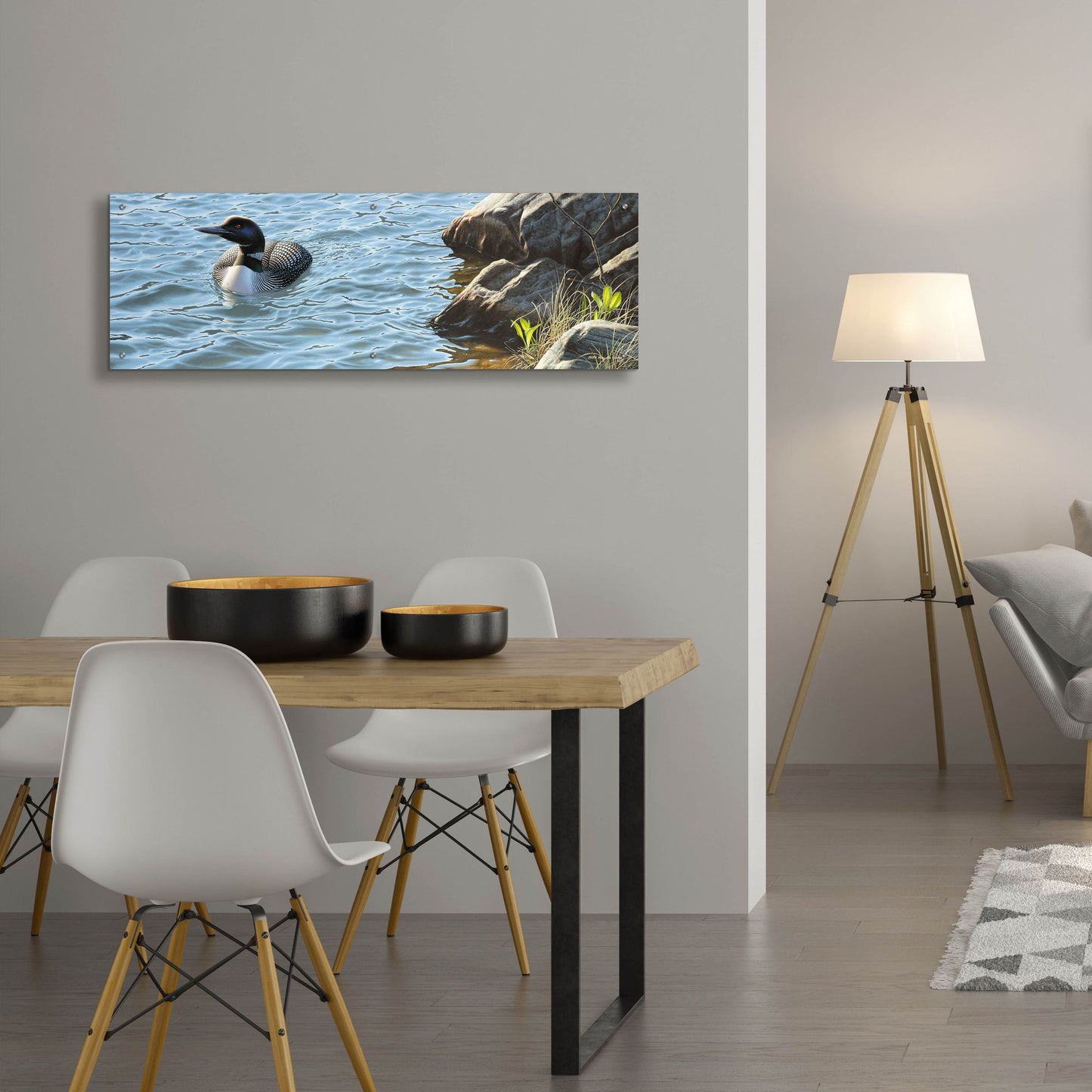 Epic Art 'On the Rocks - Loon' by Mark Mueller Wildlife Art, Acrylic Glass Wall Art,48x16