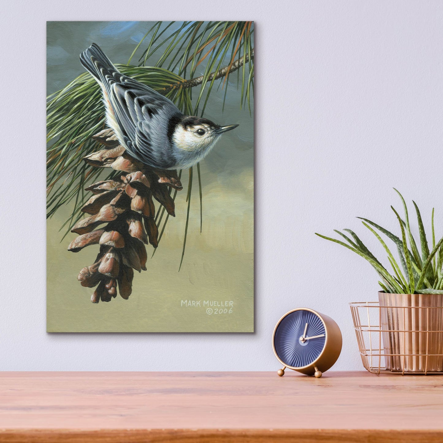 Epic Art 'Pine Cone Perch - White-breasted Nuthatch' by Mark Mueller Wildlife Art, Acrylic Glass Wall Art,12x16