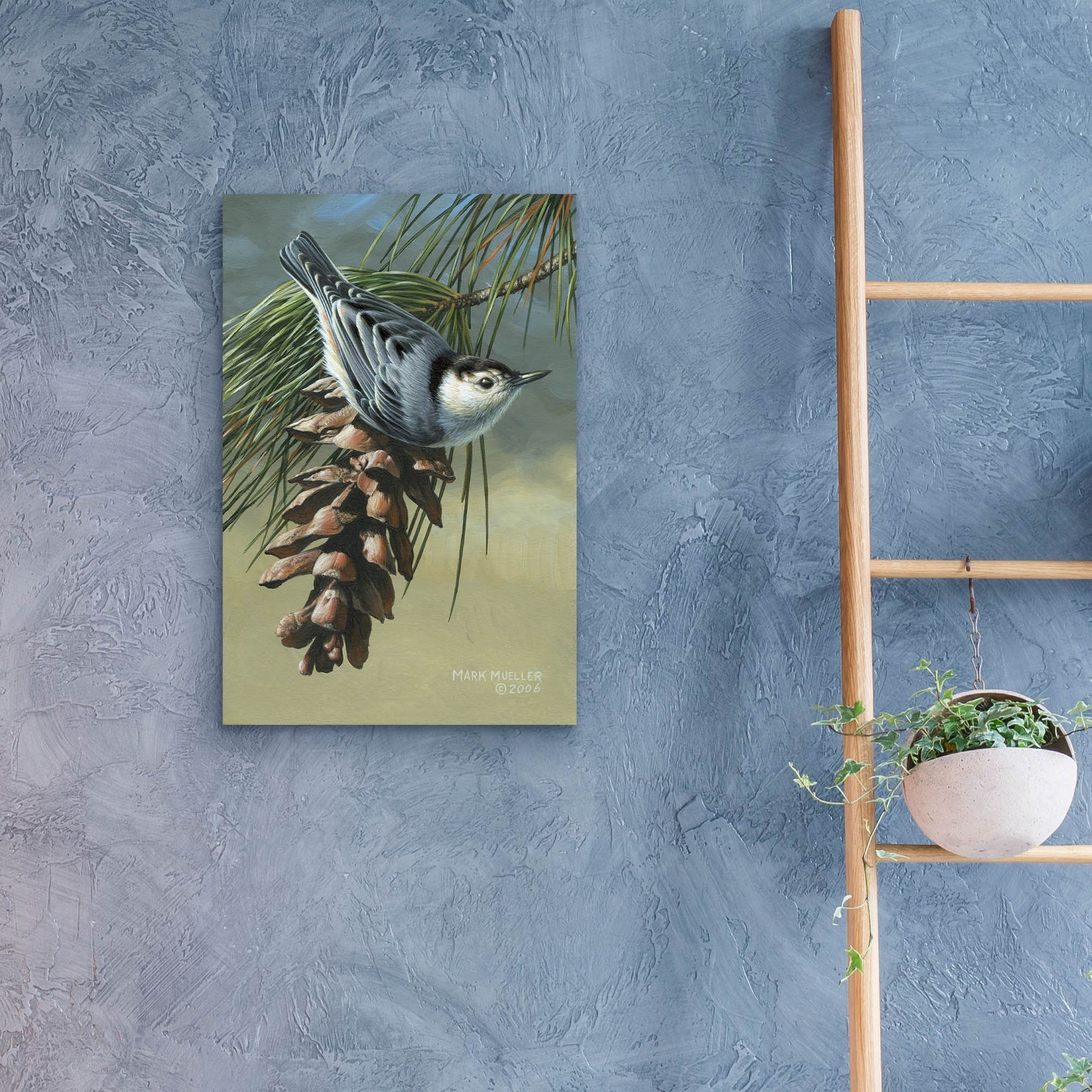 Epic Art 'Pine Cone Perch - White-breasted Nuthatch' by Mark Mueller Wildlife Art, Acrylic Glass Wall Art,16x24