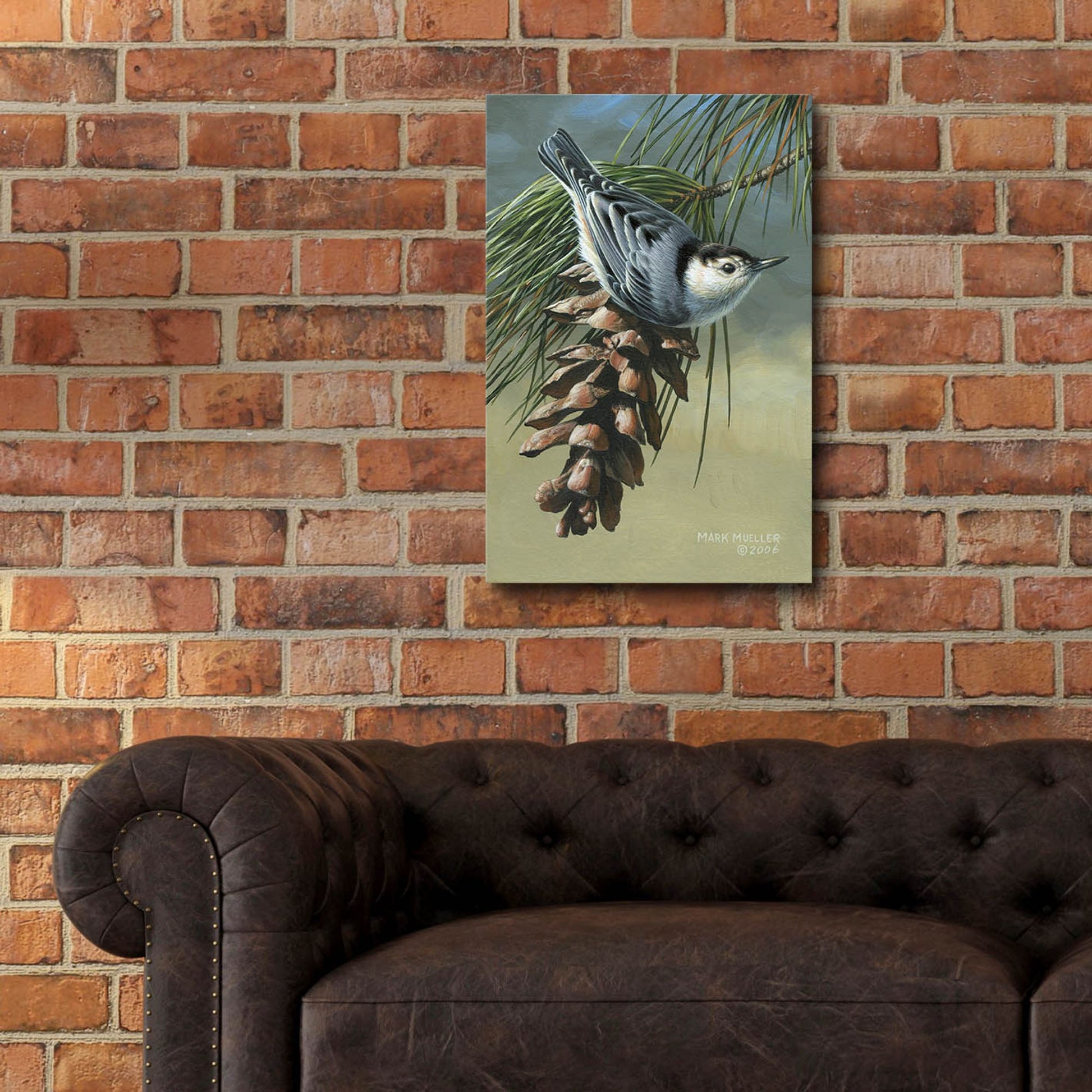 Epic Art 'Pine Cone Perch - White-breasted Nuthatch' by Mark Mueller Wildlife Art, Acrylic Glass Wall Art,16x24