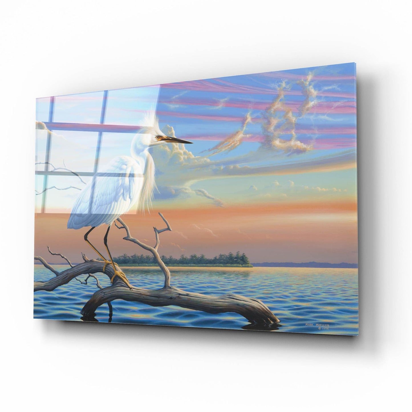 Epic Art 'Reflections - Snowy Egret' by Mark Mueller Wildlife Art, Acrylic Glass Wall Art,16x12