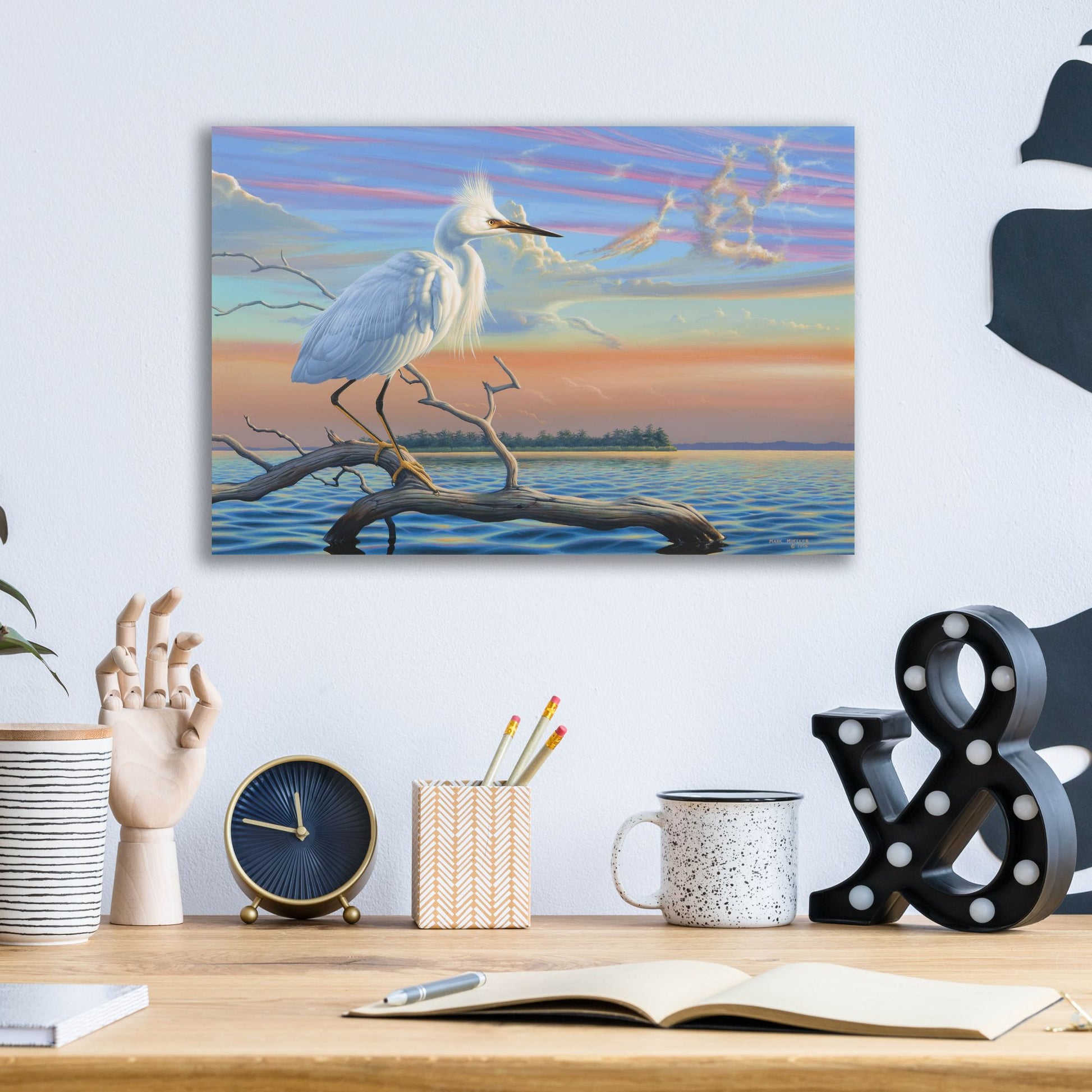 Epic Art 'Reflections - Snowy Egret' by Mark Mueller Wildlife Art, Acrylic Glass Wall Art,16x12