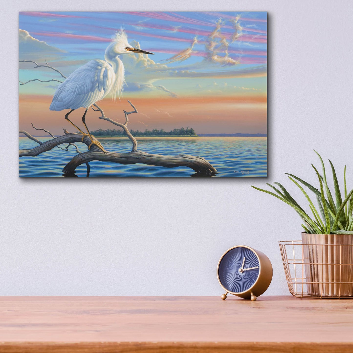 Epic Art 'Reflections - Snowy Egret' by Mark Mueller Wildlife Art, Acrylic Glass Wall Art,16x12