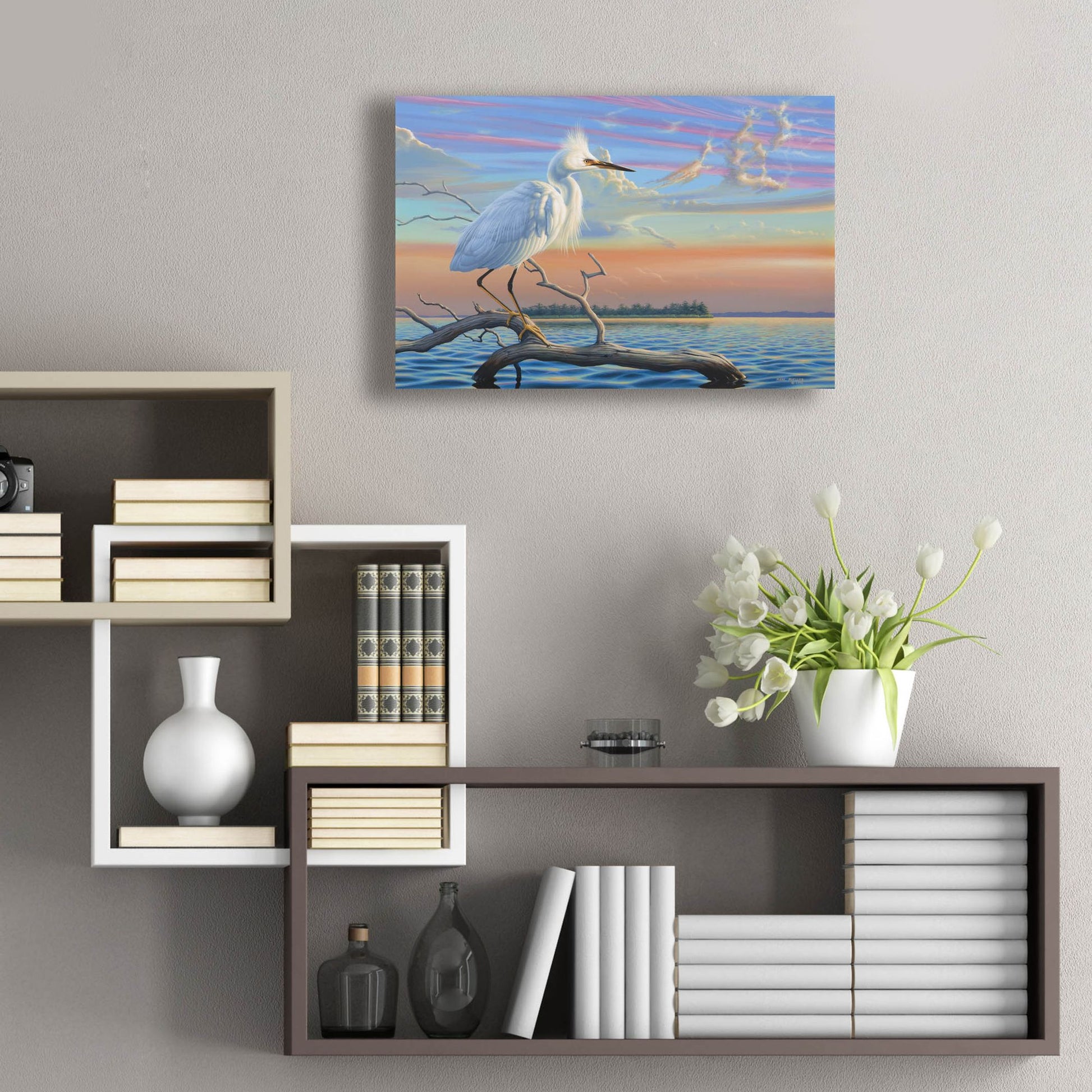 Epic Art 'Reflections - Snowy Egret' by Mark Mueller Wildlife Art, Acrylic Glass Wall Art,24x16