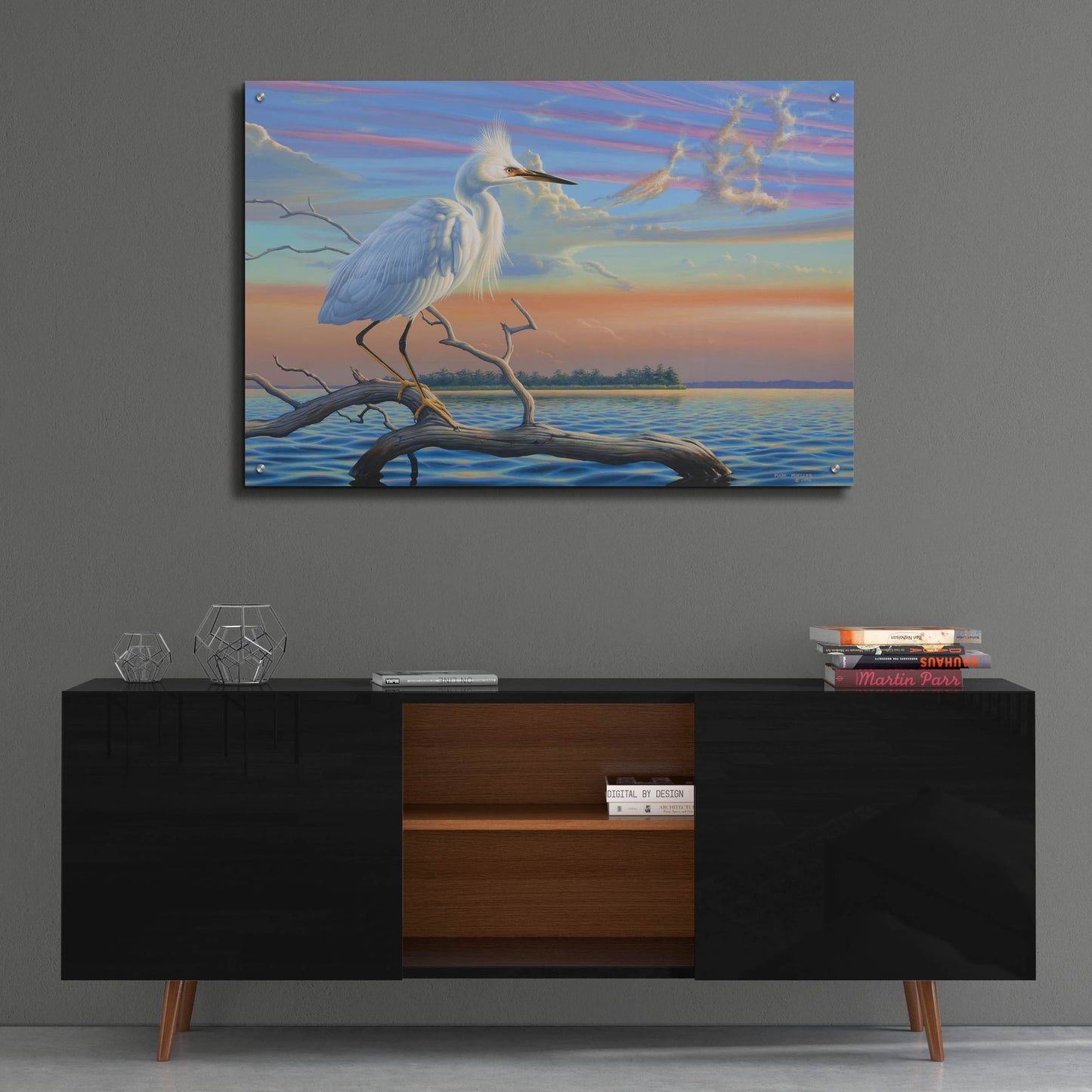 Epic Art 'Reflections - Snowy Egret' by Mark Mueller Wildlife Art, Acrylic Glass Wall Art,36x24