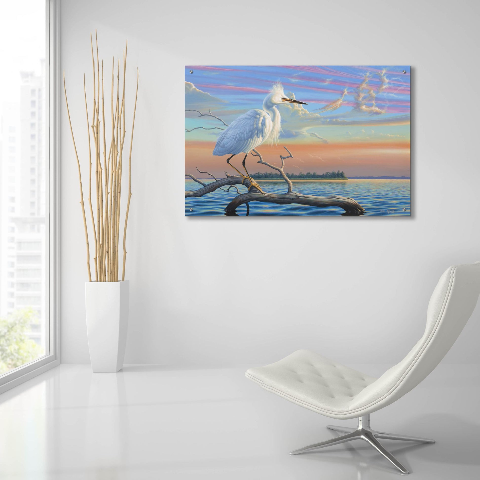 Epic Art 'Reflections - Snowy Egret' by Mark Mueller Wildlife Art, Acrylic Glass Wall Art,36x24