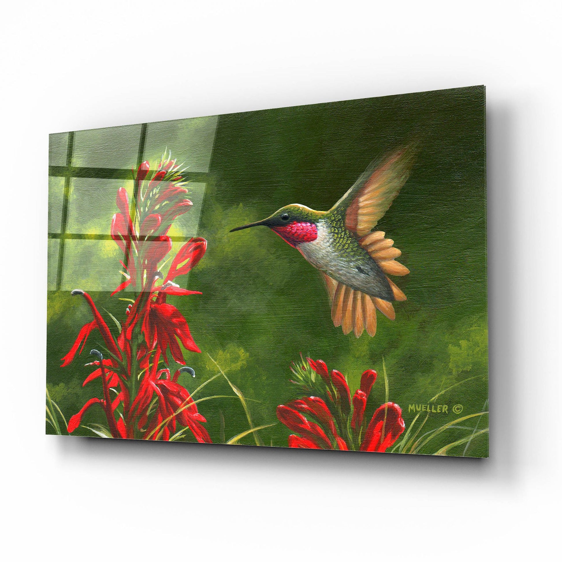 Epic Art 'Seeing Red - Hummingbird and Cardinal Flower' by Mark Mueller Wildlife Art, Acrylic Glass Wall Art,16x12