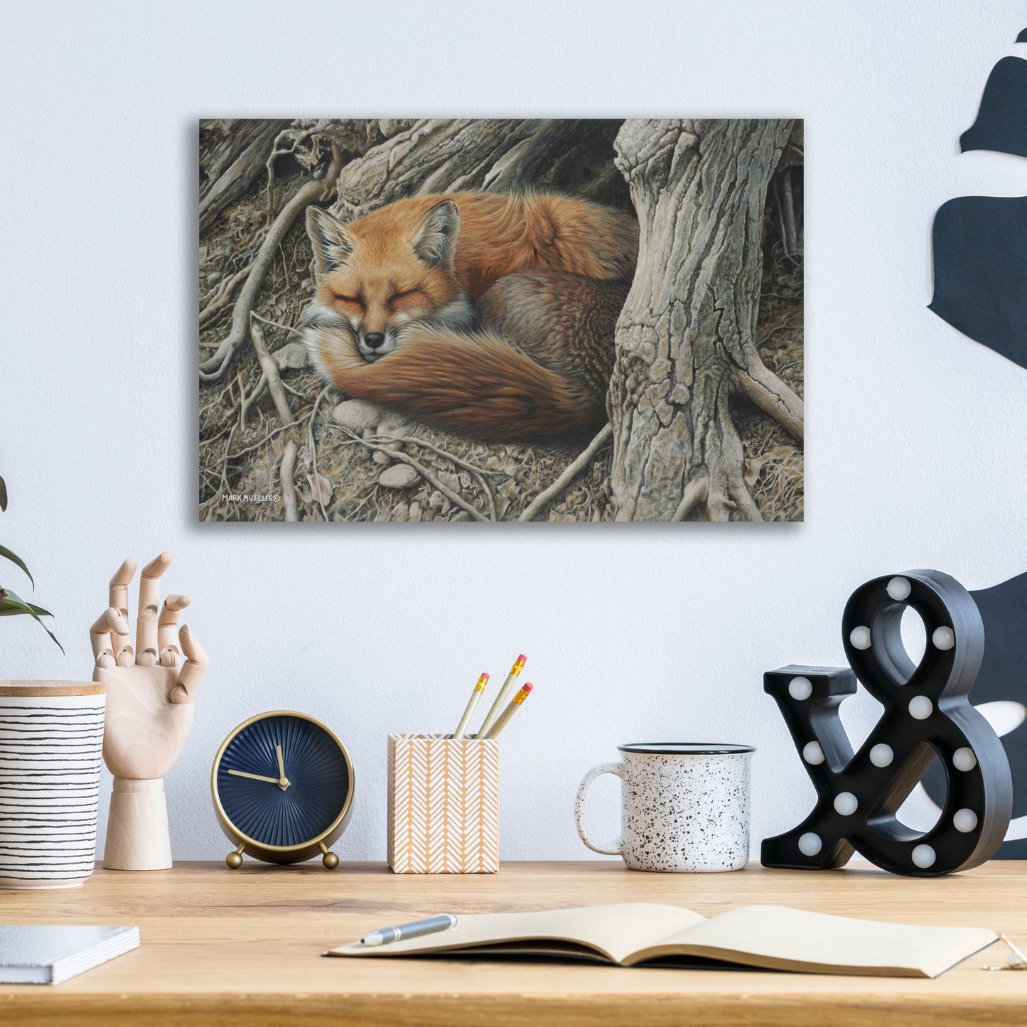 Epic Art 'Sleepy Hollow - Red Fox' by Mark Mueller Wildlife Art, Acrylic Glass Wall Art,16x12