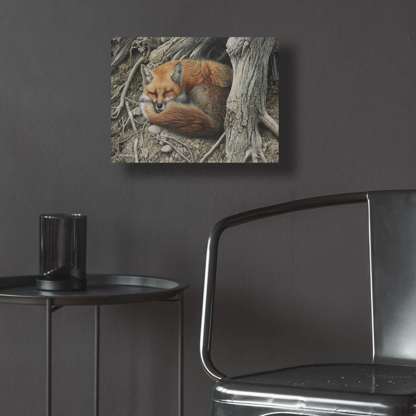 Epic Art 'Sleepy Hollow - Red Fox' by Mark Mueller Wildlife Art, Acrylic Glass Wall Art,16x12