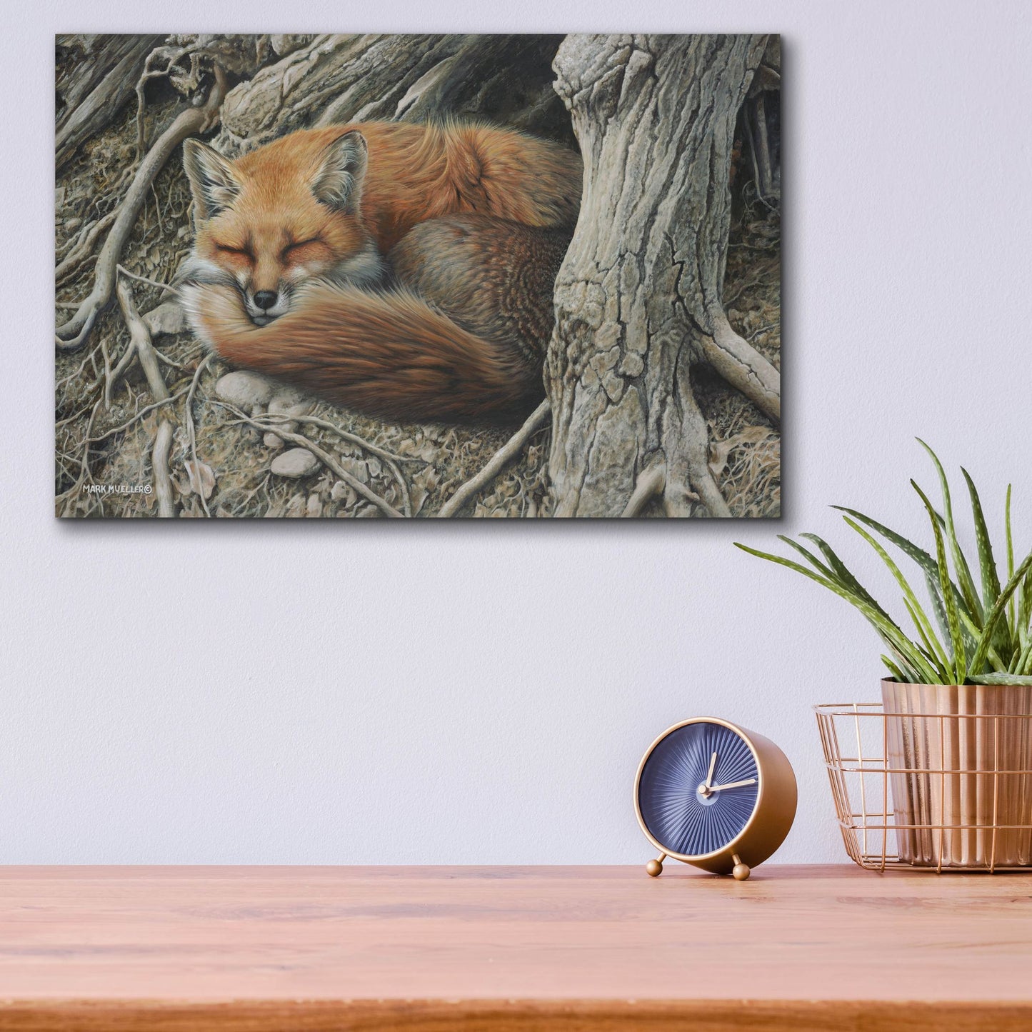 Epic Art 'Sleepy Hollow - Red Fox' by Mark Mueller Wildlife Art, Acrylic Glass Wall Art,16x12