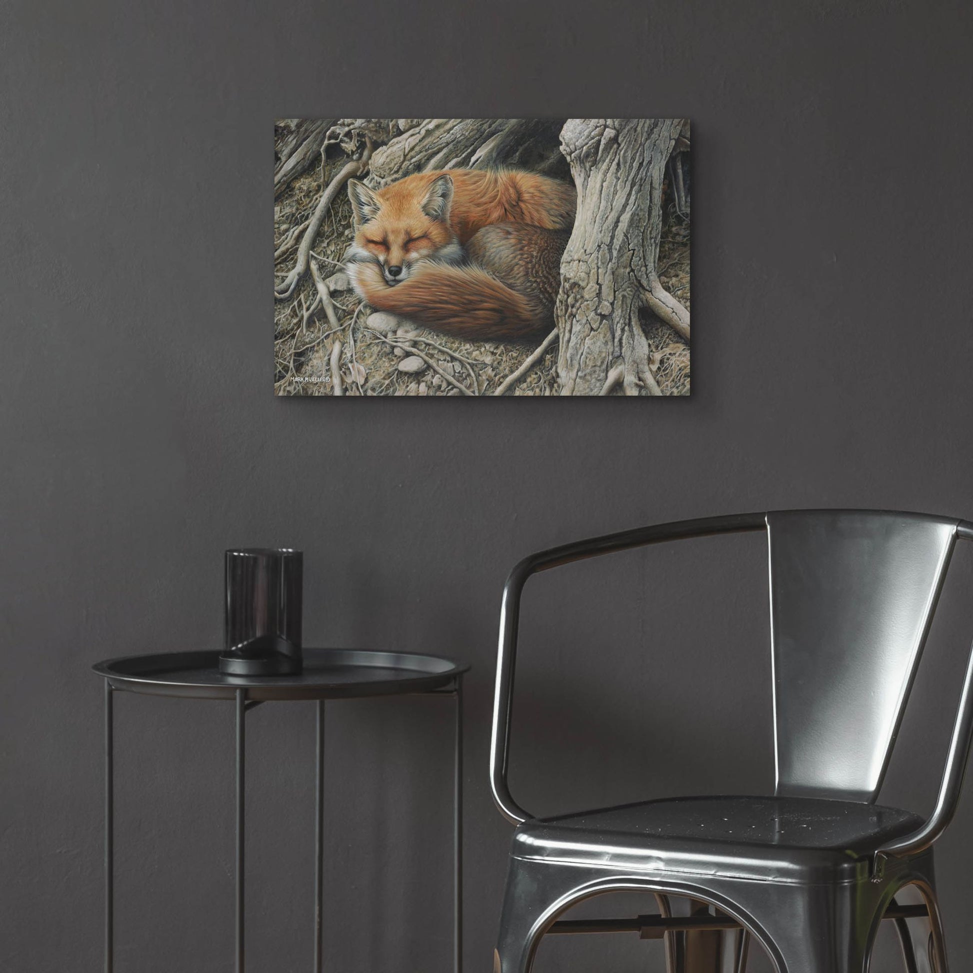 Epic Art 'Sleepy Hollow - Red Fox' by Mark Mueller Wildlife Art, Acrylic Glass Wall Art,24x16