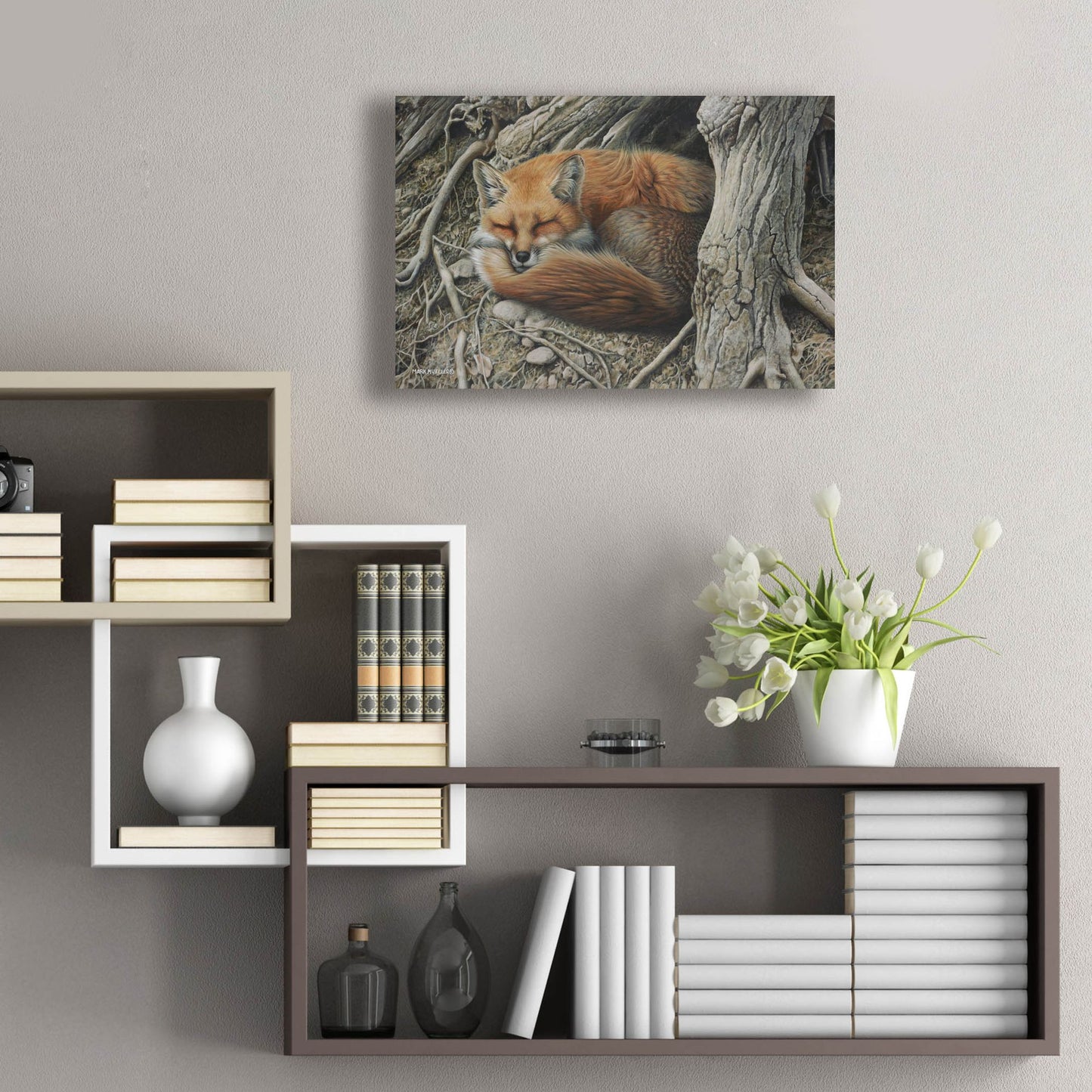 Epic Art 'Sleepy Hollow - Red Fox' by Mark Mueller Wildlife Art, Acrylic Glass Wall Art,24x16