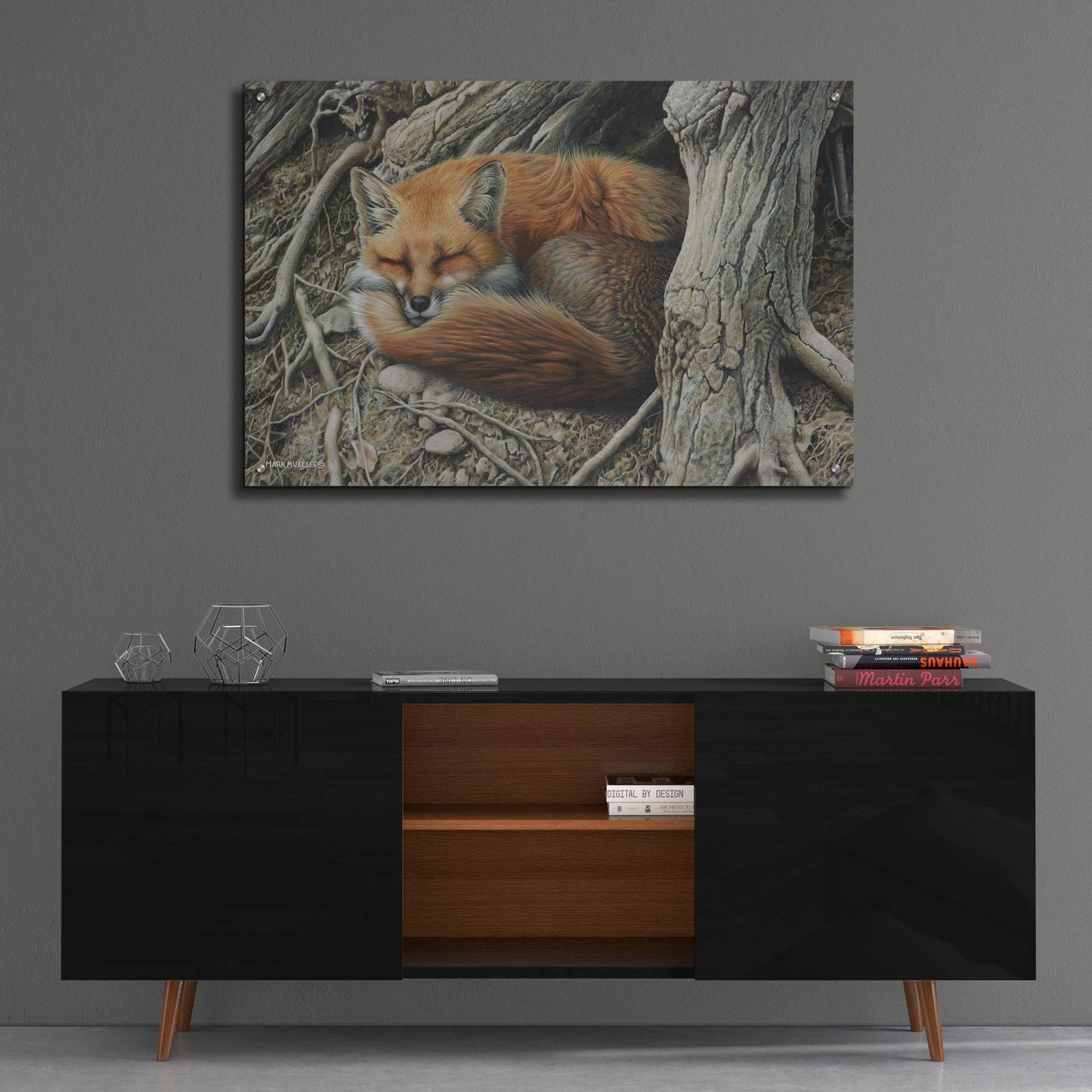 Epic Art 'Sleepy Hollow - Red Fox' by Mark Mueller Wildlife Art, Acrylic Glass Wall Art,36x24