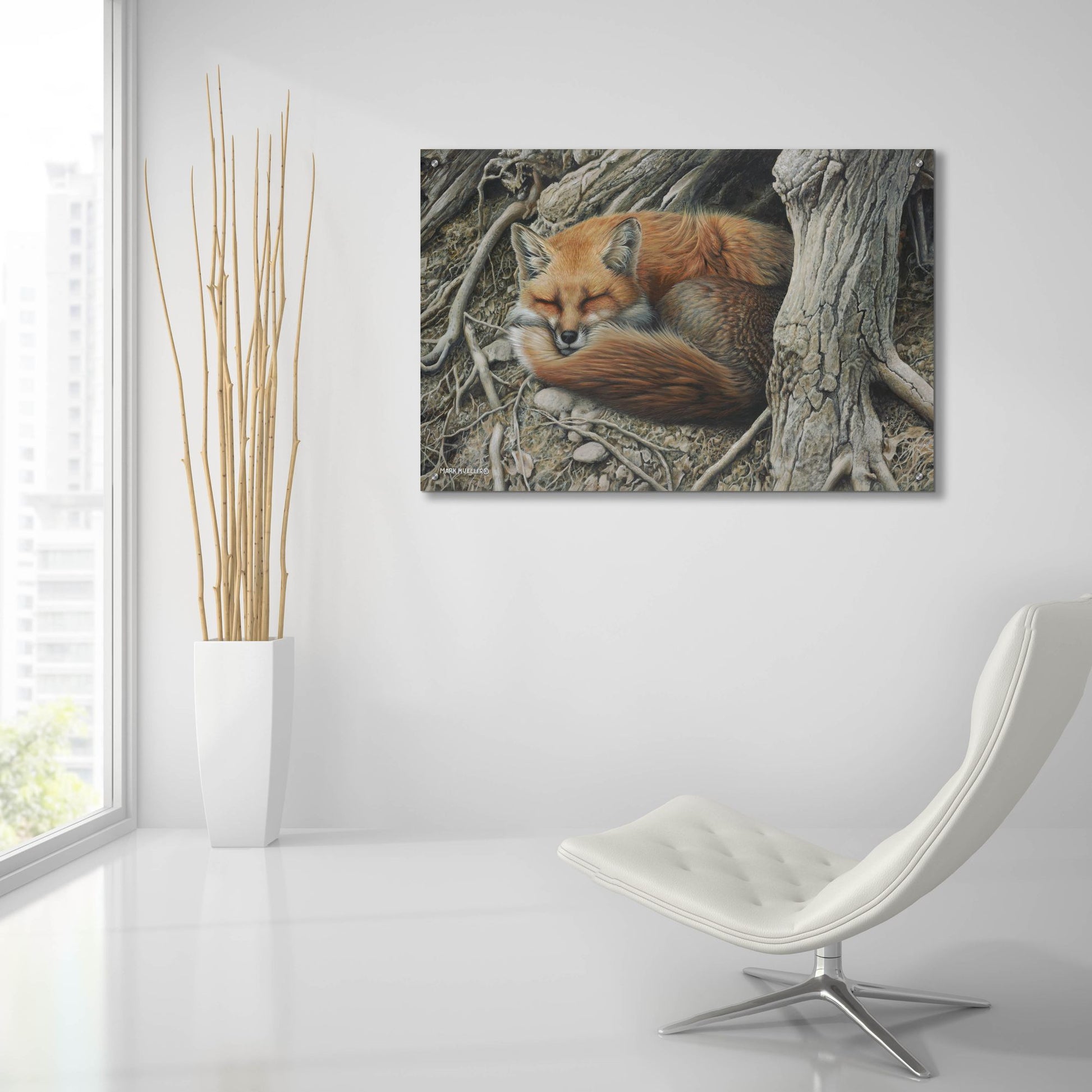 Epic Art 'Sleepy Hollow - Red Fox' by Mark Mueller Wildlife Art, Acrylic Glass Wall Art,36x24