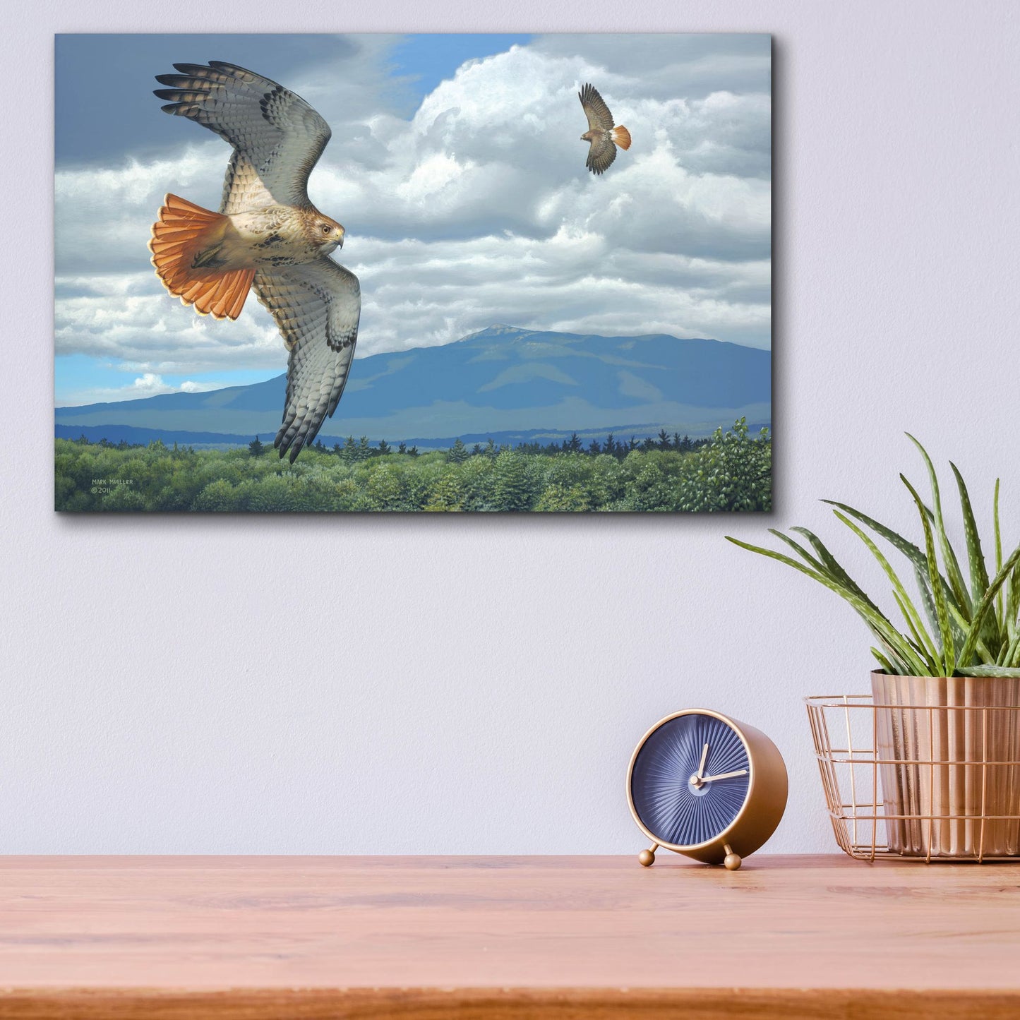 Epic Art 'Soaring Over the Pines - Red-tailed Hawks' by Mark Mueller Wildlife Art, Acrylic Glass Wall Art,16x12