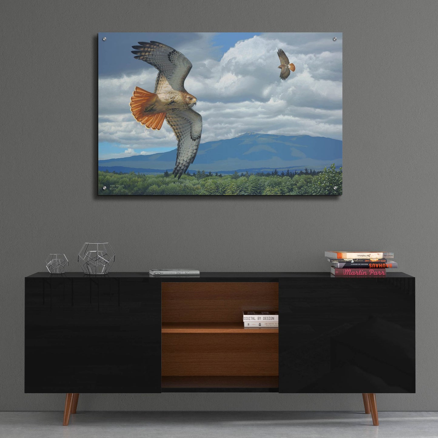 Epic Art 'Soaring Over the Pines - Red-tailed Hawks' by Mark Mueller Wildlife Art, Acrylic Glass Wall Art,36x24