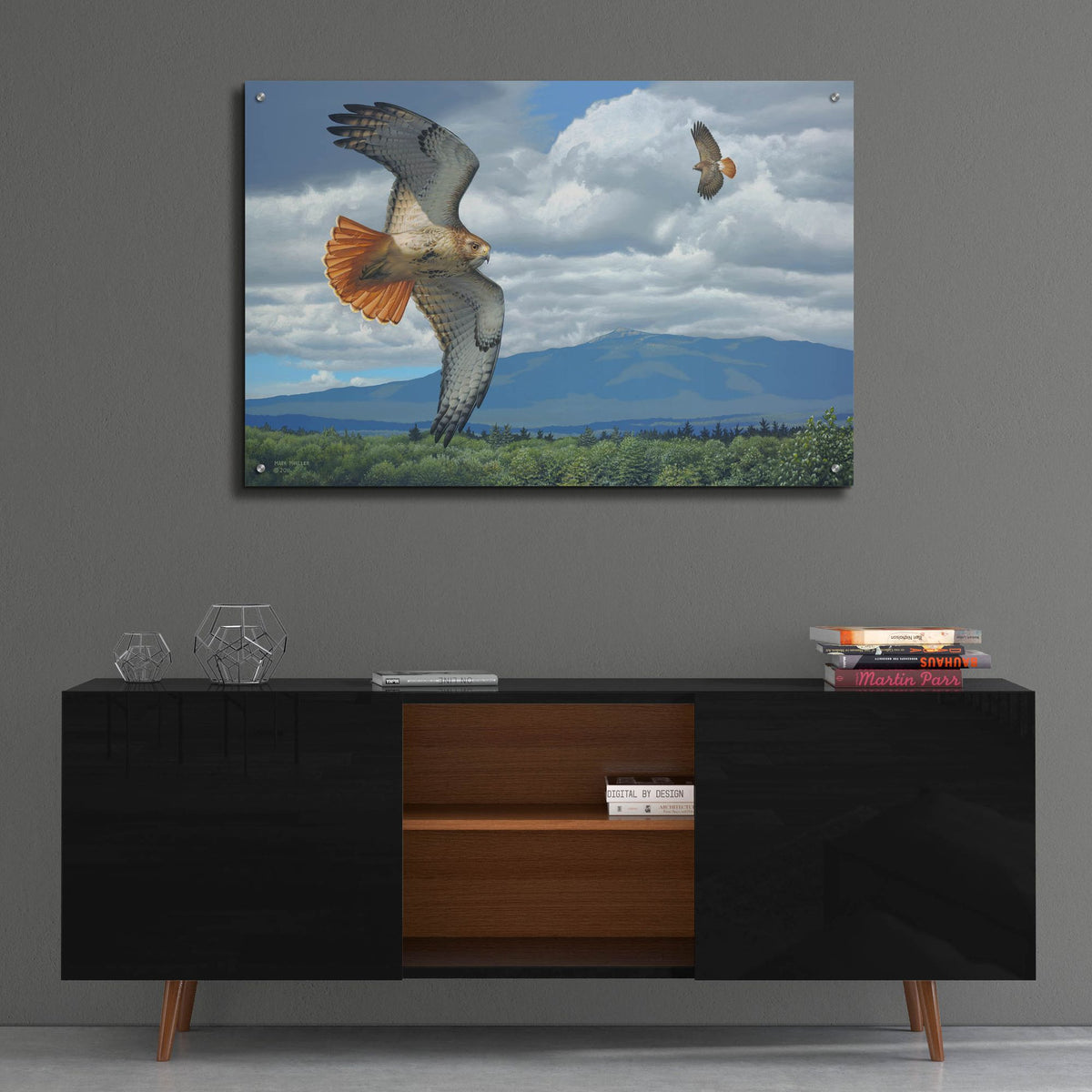 Epic Art 'Soaring Over the Pines - Red-tailed Hawks' by Mark Mueller Wildlife Art, Acrylic Glass Wall Art,36x24