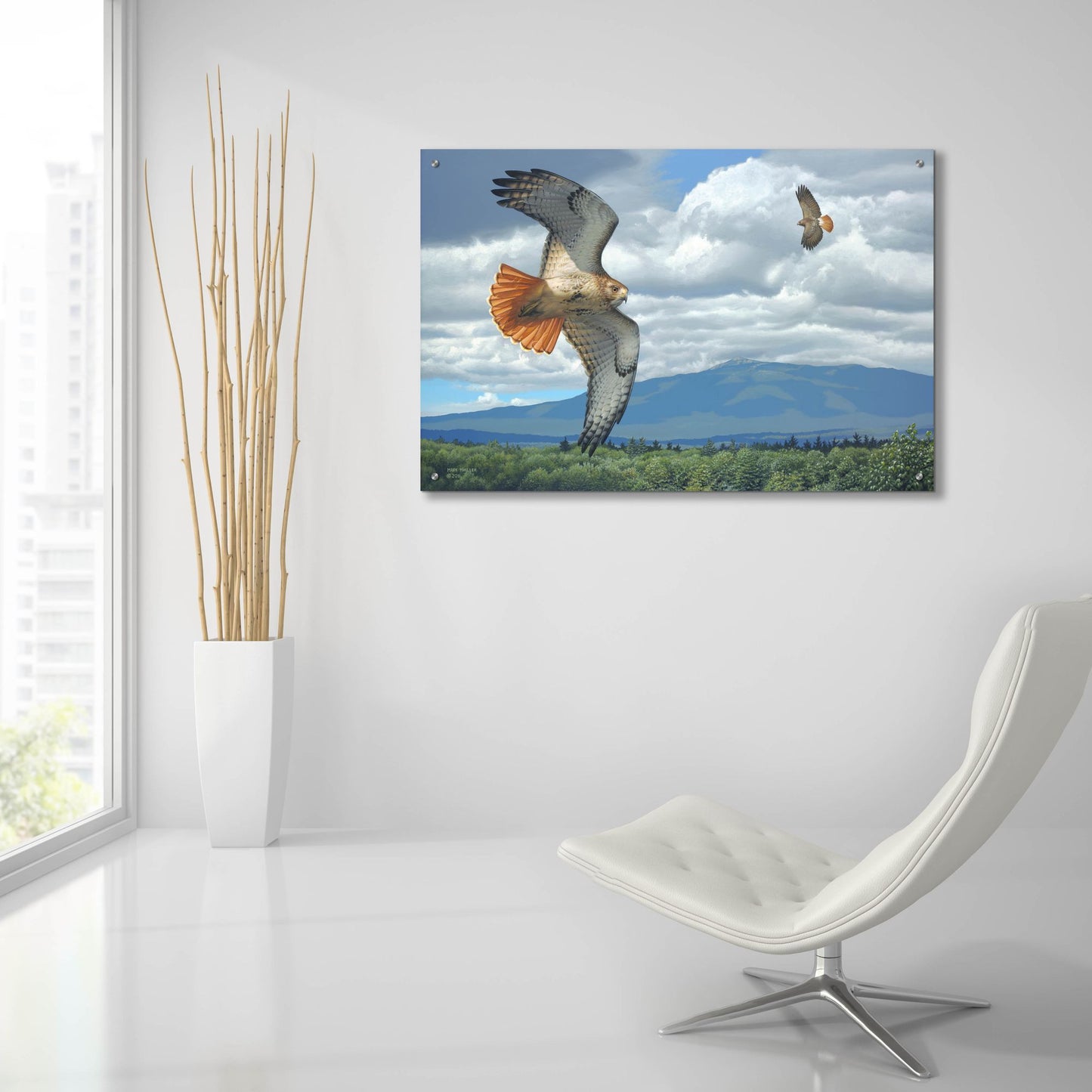 Epic Art 'Soaring Over the Pines - Red-tailed Hawks' by Mark Mueller Wildlife Art, Acrylic Glass Wall Art,36x24