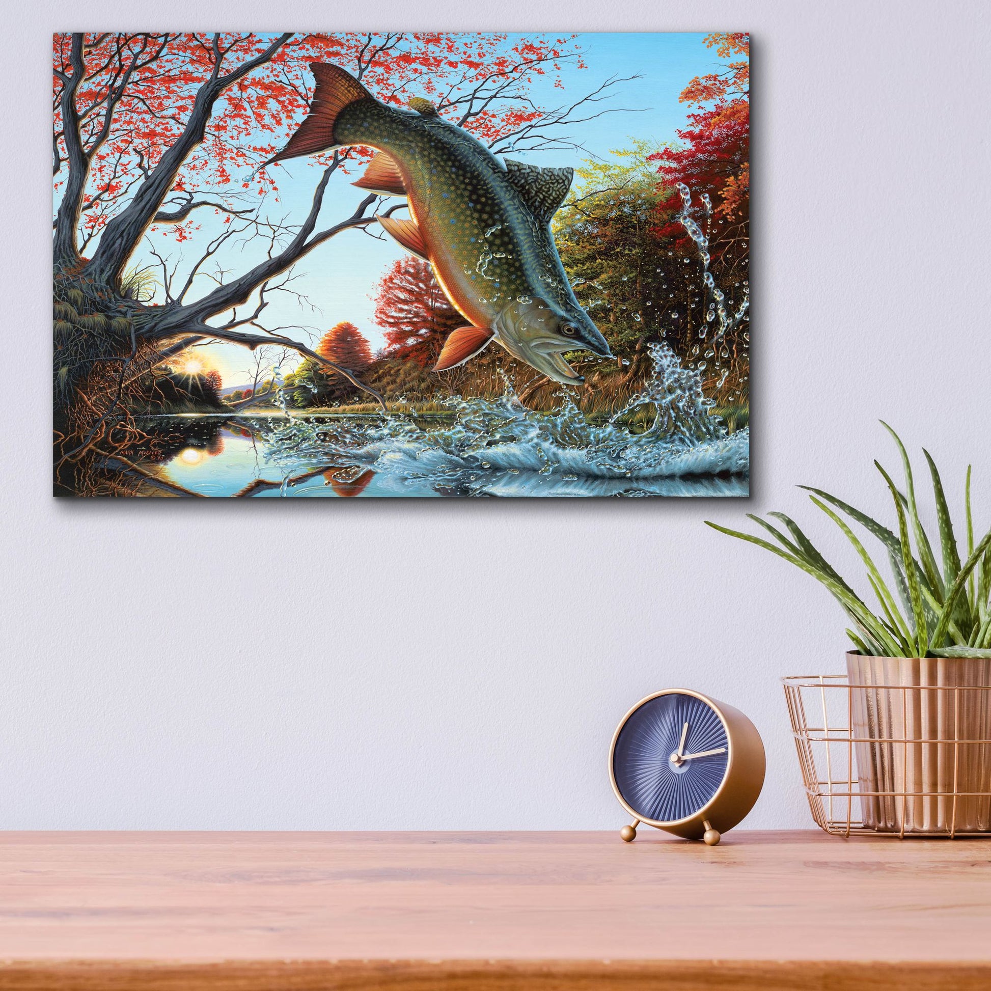 Epic Art 'Splash of Color - Brook Trout' by Mark Mueller Wildlife Art, Acrylic Glass Wall Art,16x12