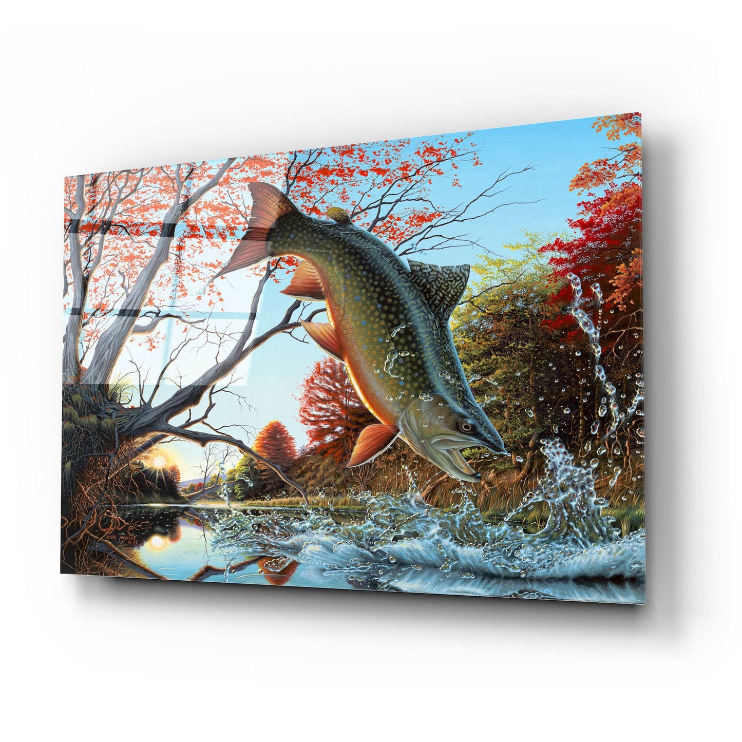 Epic Art 'Splash of Color - Brook Trout' by Mark Mueller Wildlife Art, Acrylic Glass Wall Art,24x16