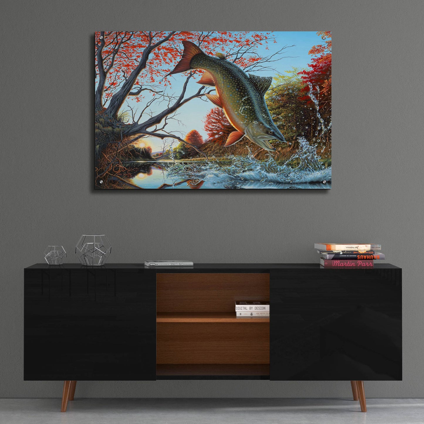 Epic Art 'Splash of Color - Brook Trout' by Mark Mueller Wildlife Art, Acrylic Glass Wall Art,36x24