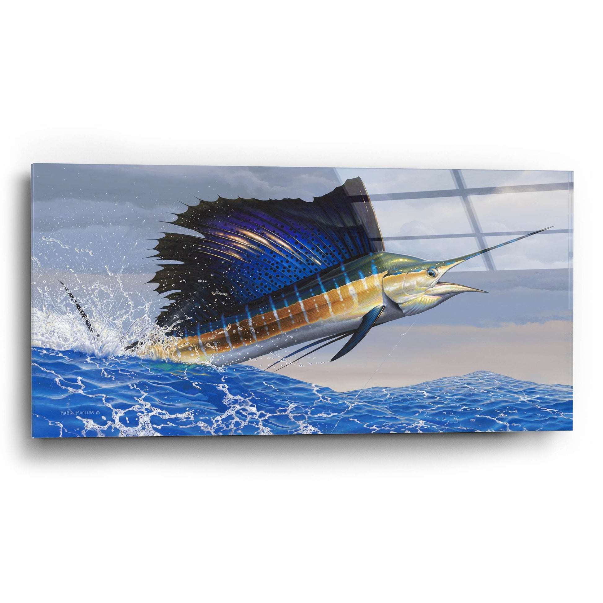 Epic Art 'Splashdown - Sailfish' by Mark Mueller Wildlife Art, Acrylic Glass Wall Art,24x12