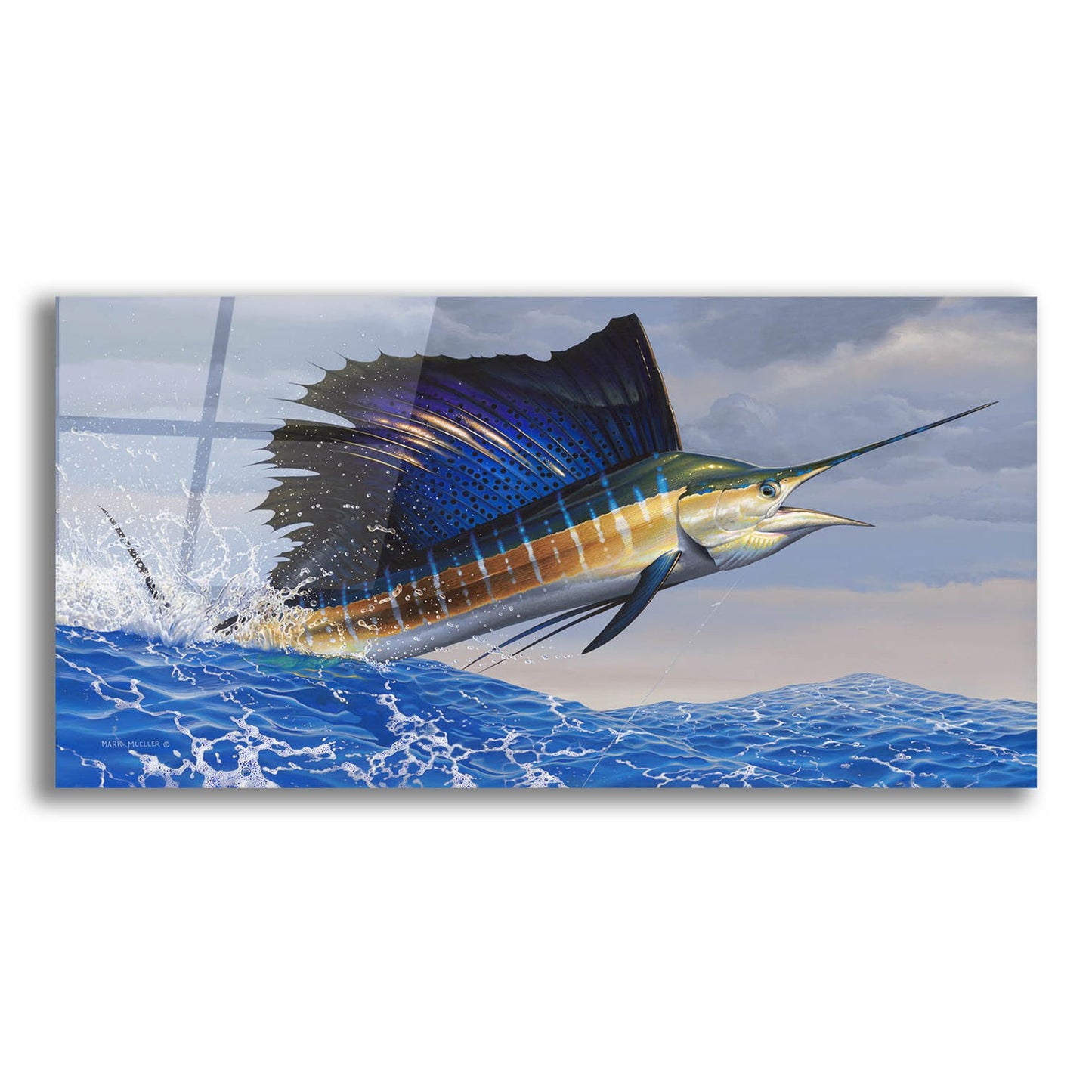 Epic Art 'Splashdown - Sailfish' by Mark Mueller Wildlife Art, Acrylic Glass Wall Art,24x12