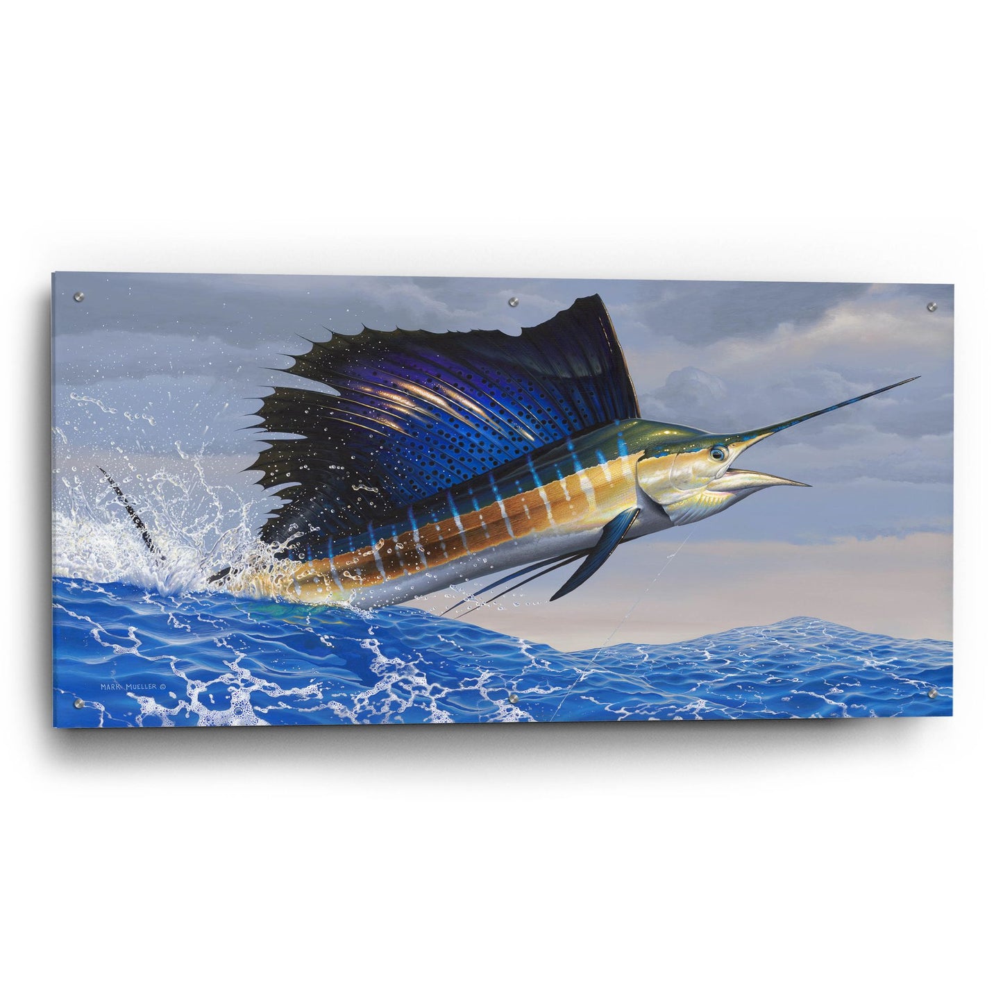 Epic Art 'Splashdown - Sailfish' by Mark Mueller Wildlife Art, Acrylic Glass Wall Art,48x24