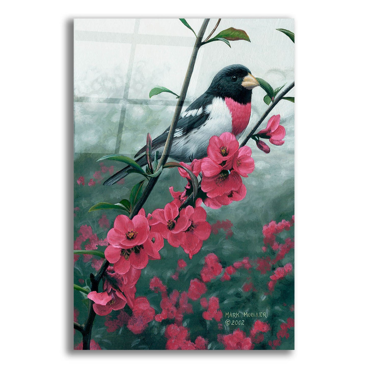 Epic Art 'Spring - Rose-breasted Grosbeak' by Mark Mueller Wildlife Art, Acrylic Glass Wall Art,12x16