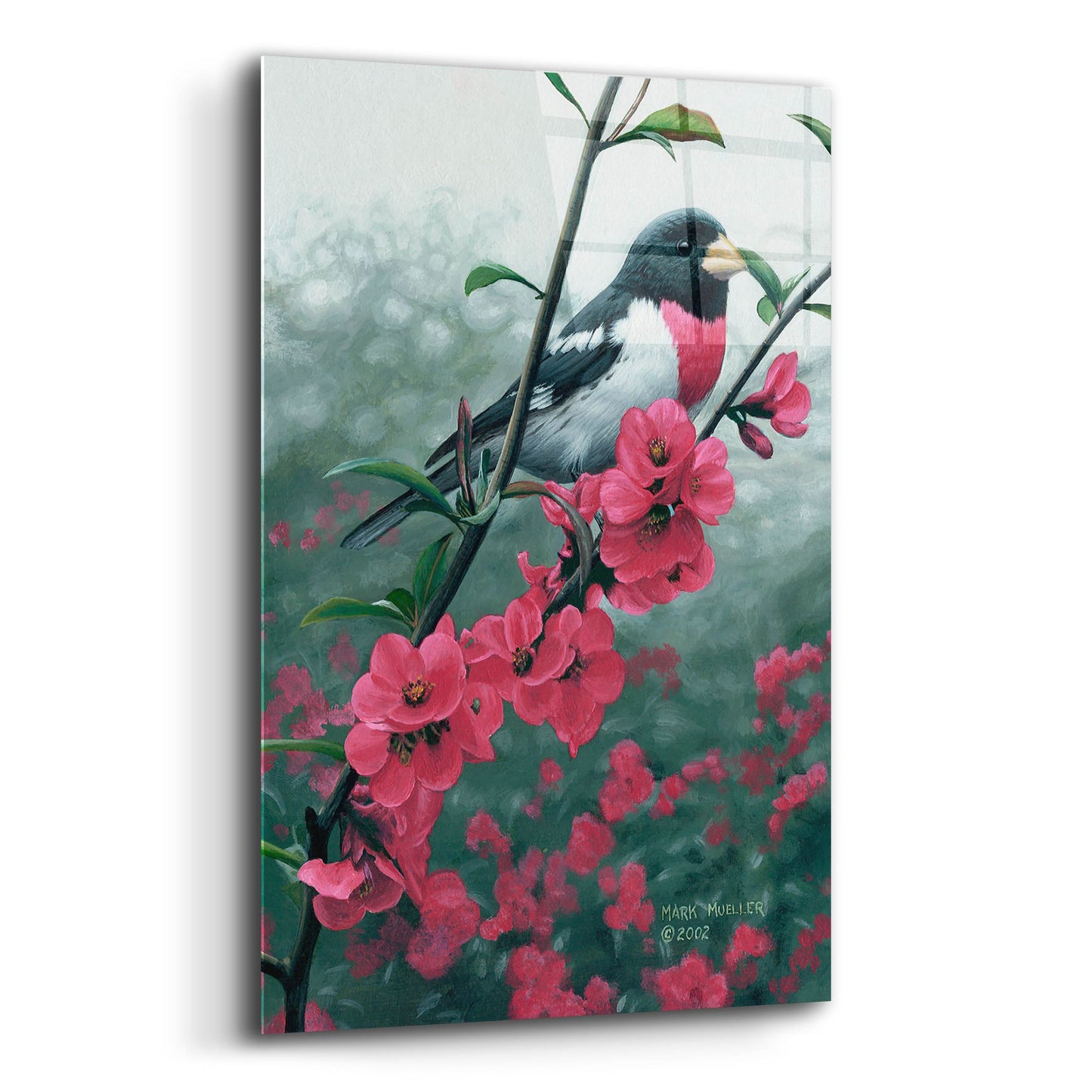 Epic Art 'Spring - Rose-breasted Grosbeak' by Mark Mueller Wildlife Art, Acrylic Glass Wall Art,16x24