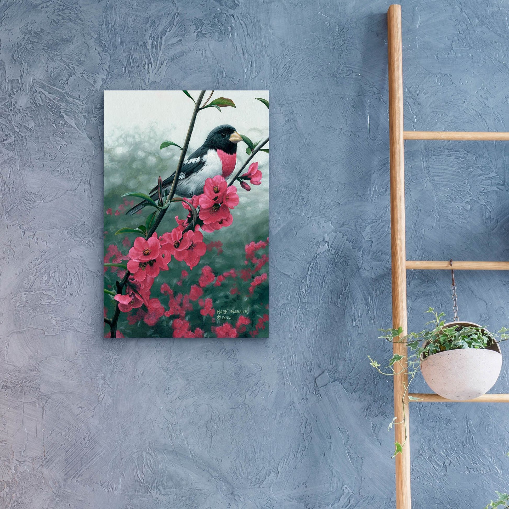 Epic Art 'Spring - Rose-breasted Grosbeak' by Mark Mueller Wildlife Art, Acrylic Glass Wall Art,16x24