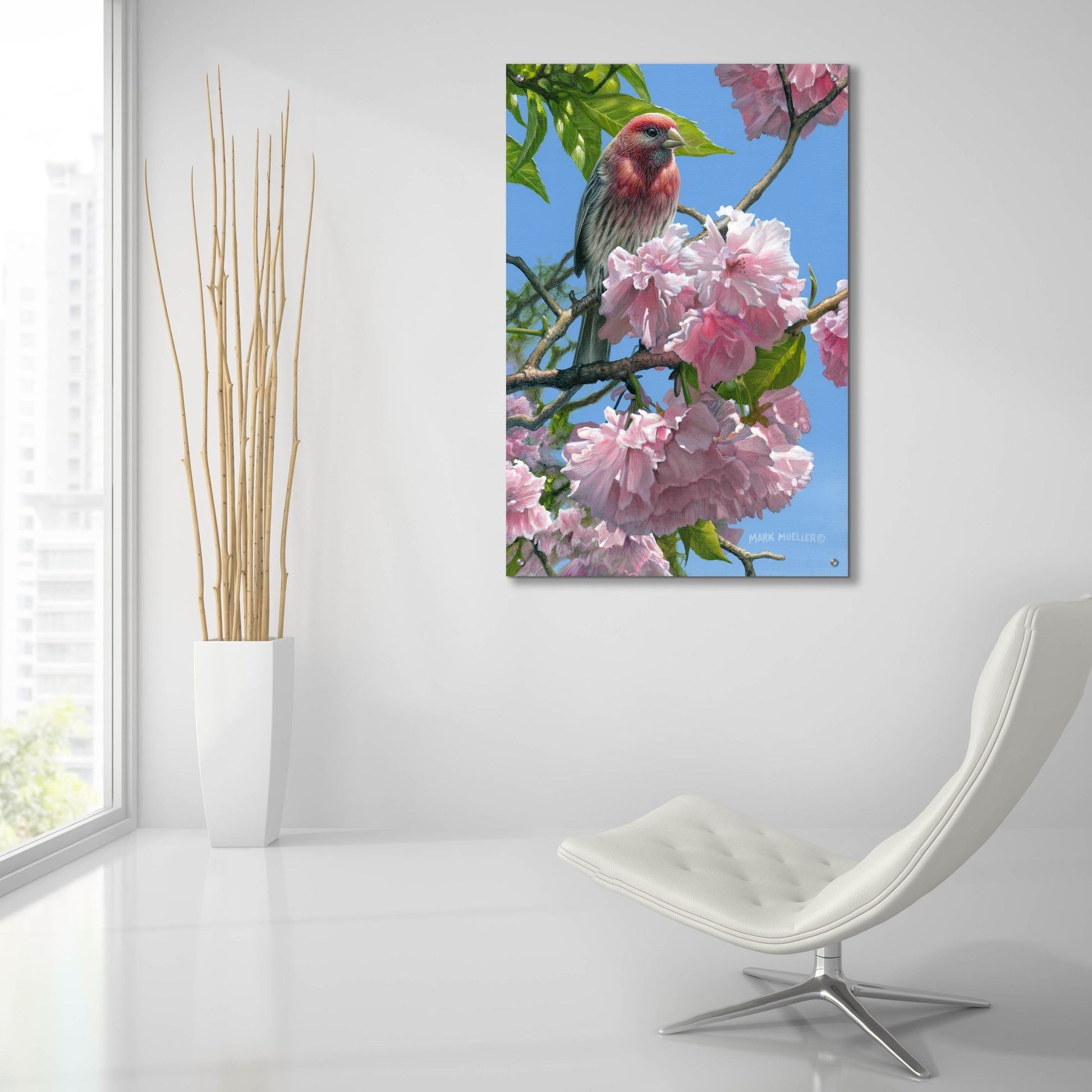 Epic Art 'Spring Glory - House Finch' by Mark Mueller Wildlife Art, Acrylic Glass Wall Art,24x36