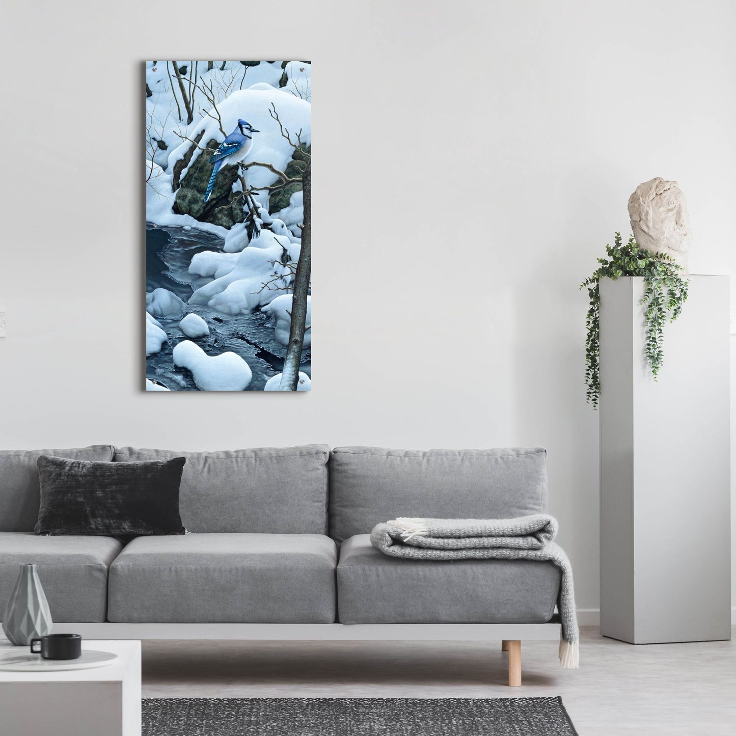 Epic Art 'Tranquil Morning - Blue Jay' by Mark Mueller Wildlife Art, Acrylic Glass Wall Art,24x48