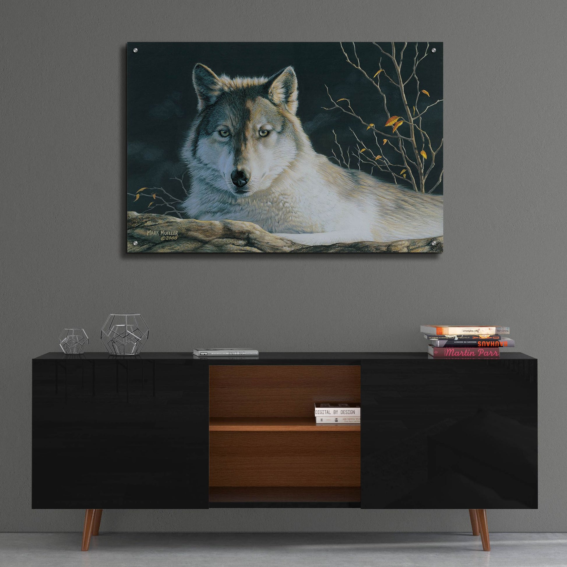 Epic Art 'Watchful Eyes - Gray Wolf' by Mark Mueller Wildlife Art, Acrylic Glass Wall Art,36x24