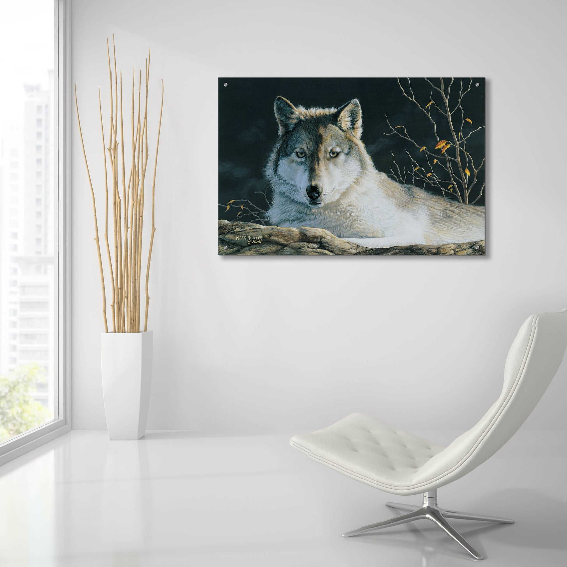 Epic Art 'Watchful Eyes - Gray Wolf' by Mark Mueller Wildlife Art, Acrylic Glass Wall Art,36x24