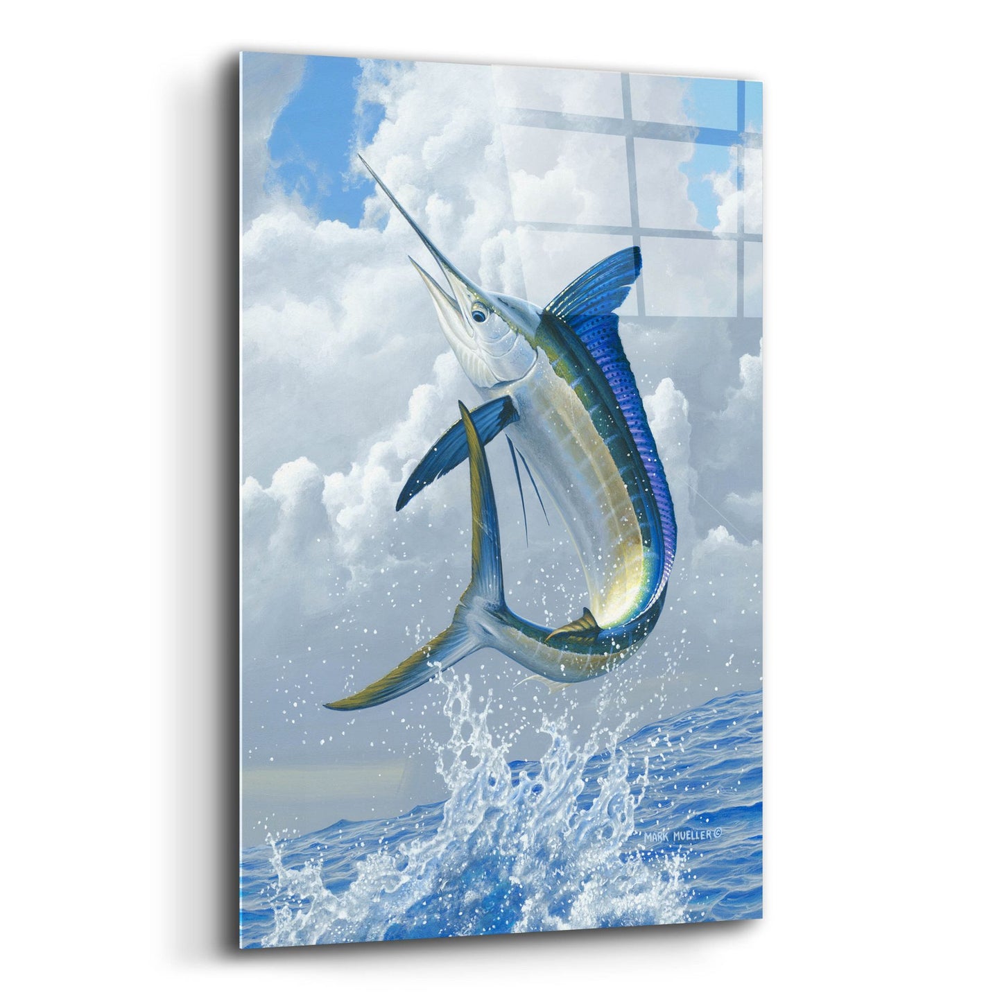 Epic Art 'White Marlin' by Mark Mueller Wildlife Art, Acrylic Glass Wall Art,12x16