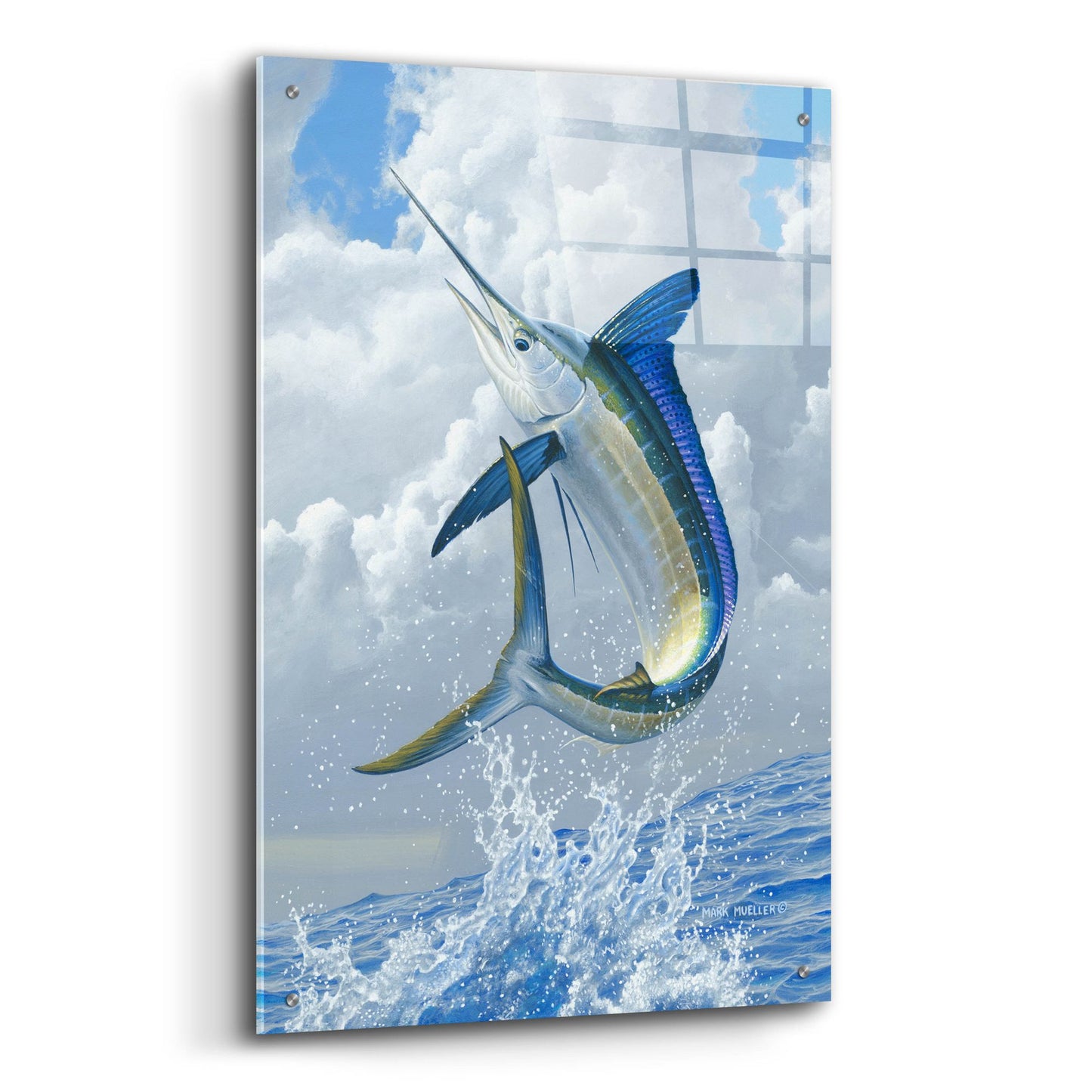 Epic Art 'White Marlin' by Mark Mueller Wildlife Art, Acrylic Glass Wall Art,24x36