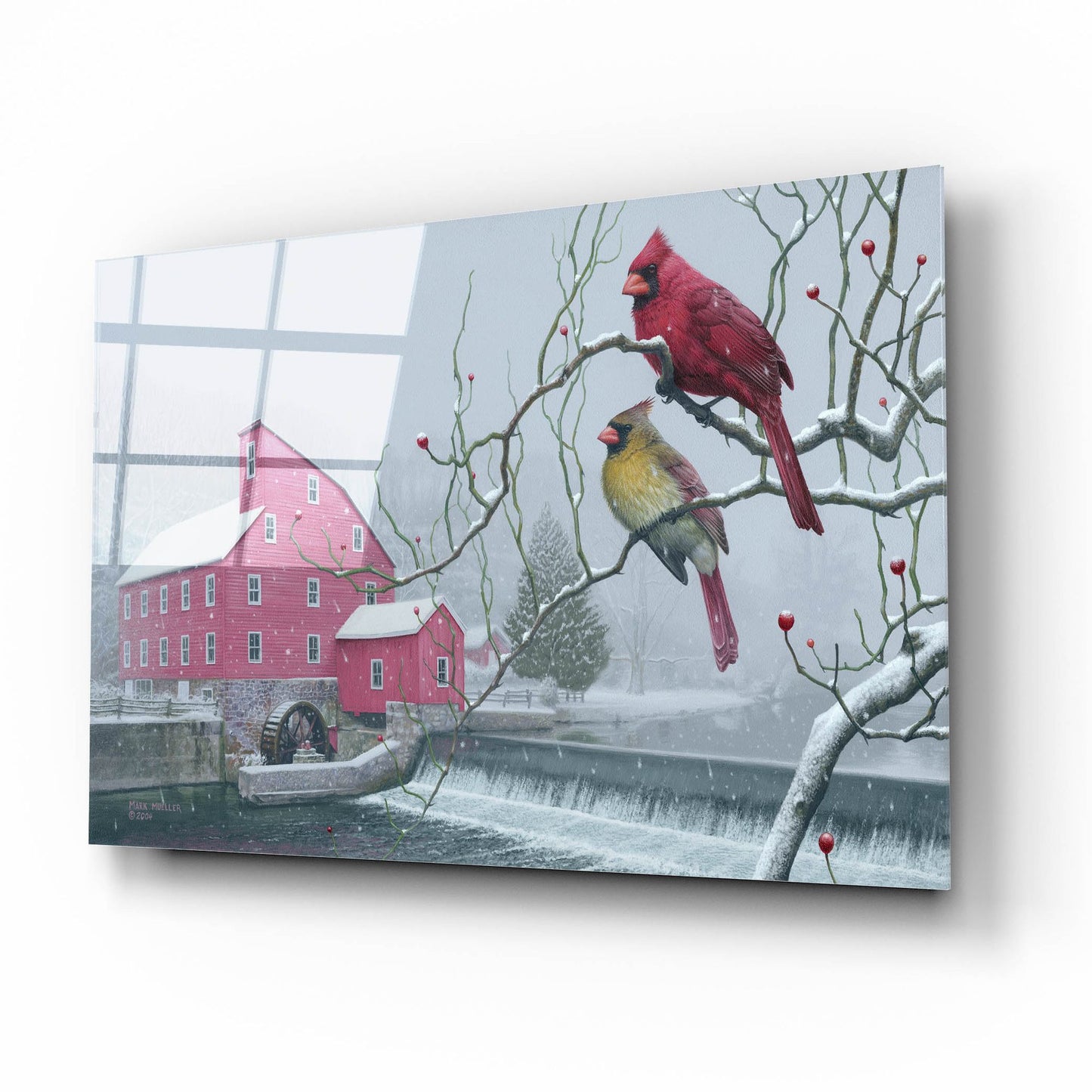 Epic Art 'Winter gems - Cardinals at Clinton Mill NJ' by Mark Mueller Wildlife Art, Acrylic Glass Wall Art,16x12