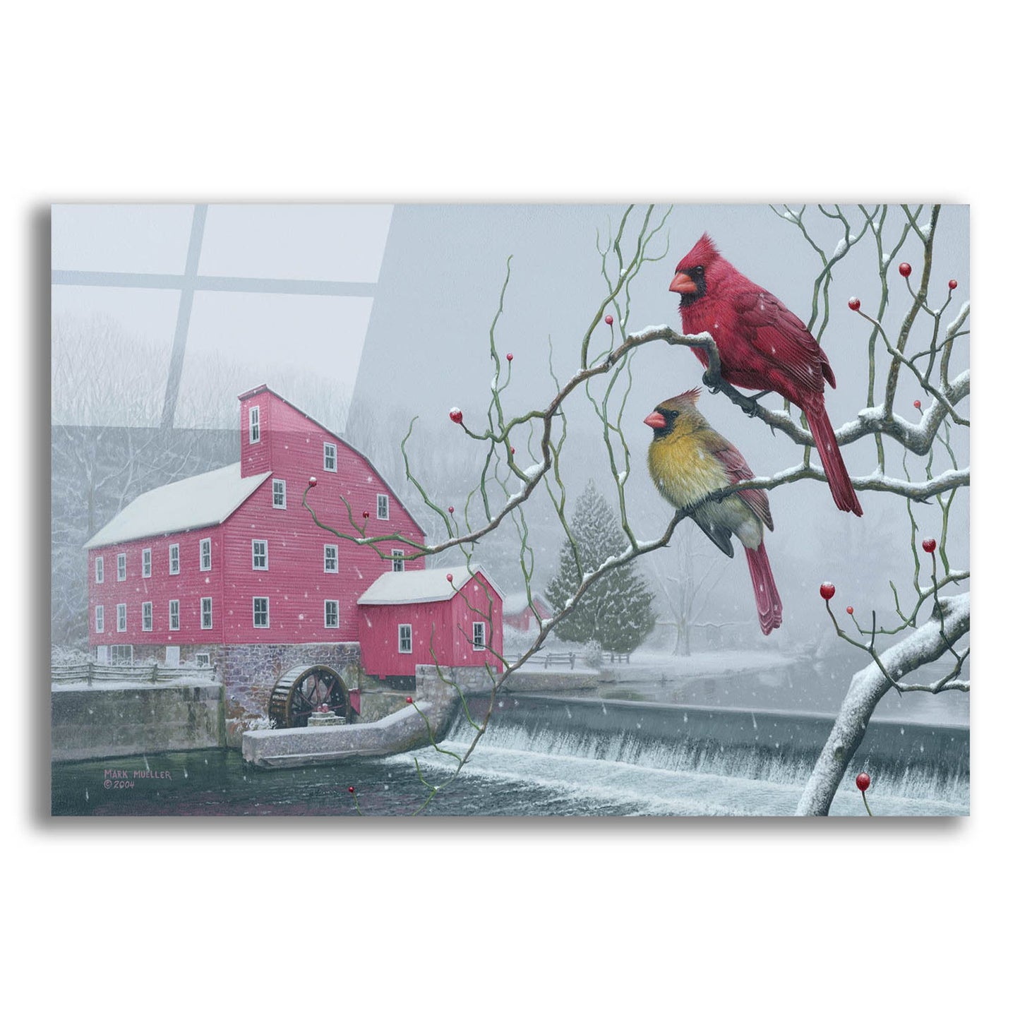 Epic Art 'Winter gems - Cardinals at Clinton Mill NJ' by Mark Mueller Wildlife Art, Acrylic Glass Wall Art,16x12