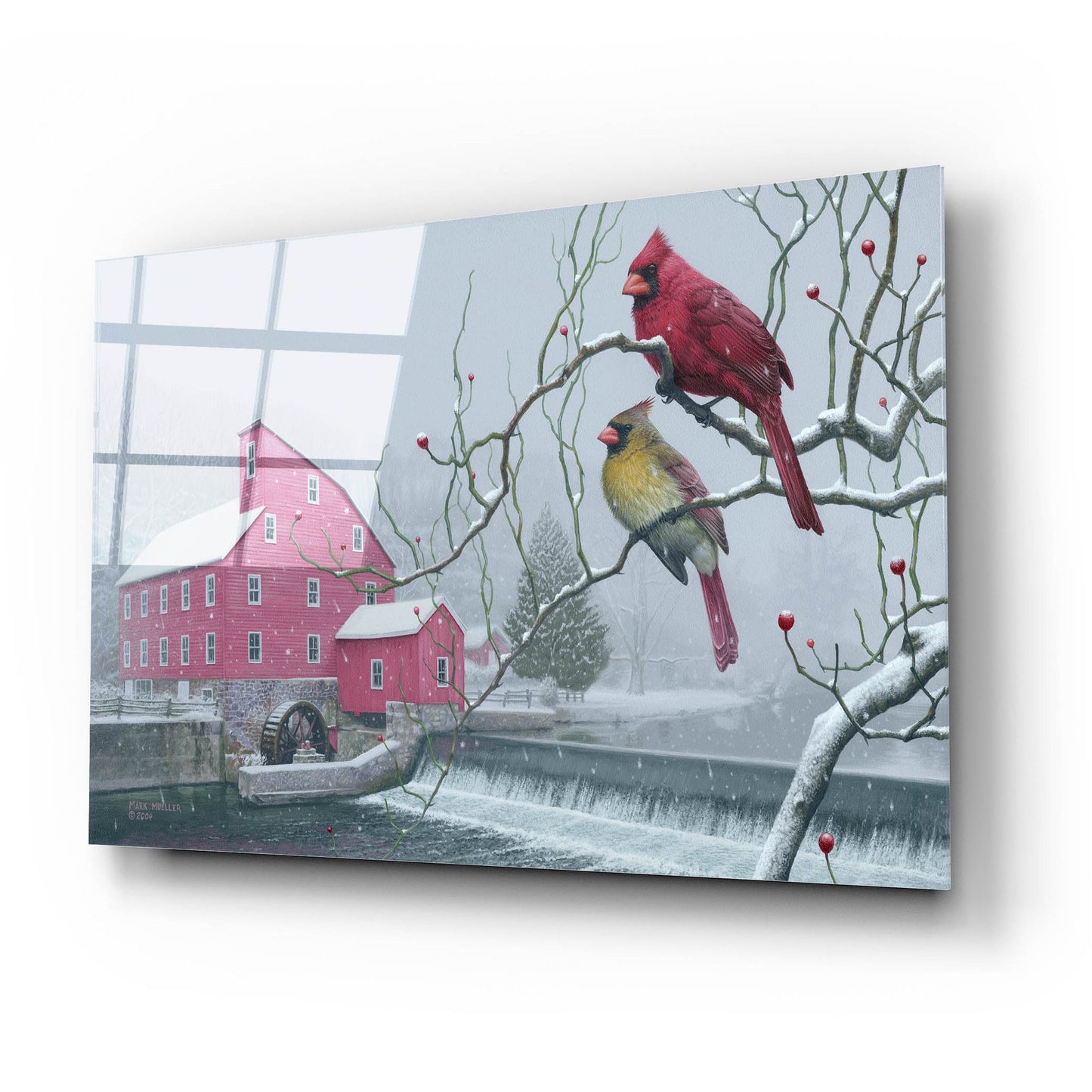 Epic Art 'Winter gems - Cardinals at Clinton Mill NJ' by Mark Mueller Wildlife Art, Acrylic Glass Wall Art,24x16