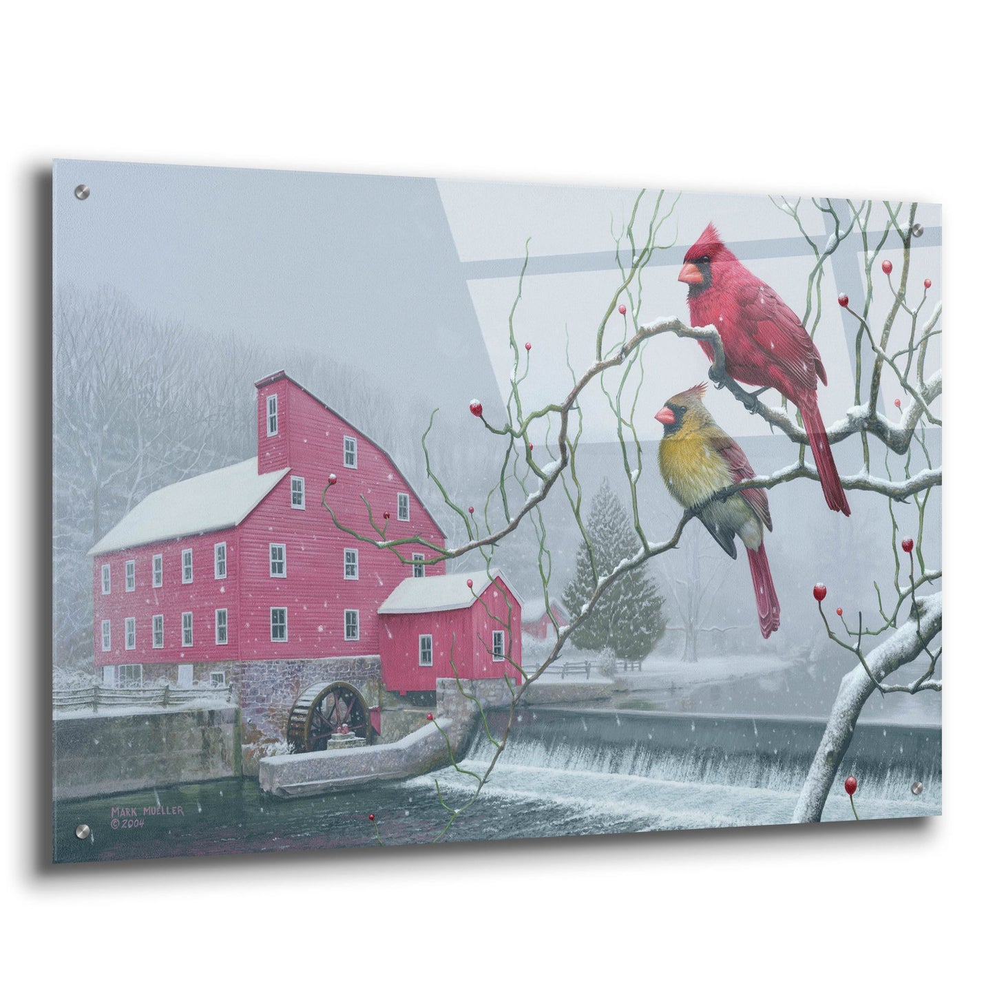 Epic Art 'Winter gems - Cardinals at Clinton Mill NJ' by Mark Mueller Wildlife Art, Acrylic Glass Wall Art,36x24