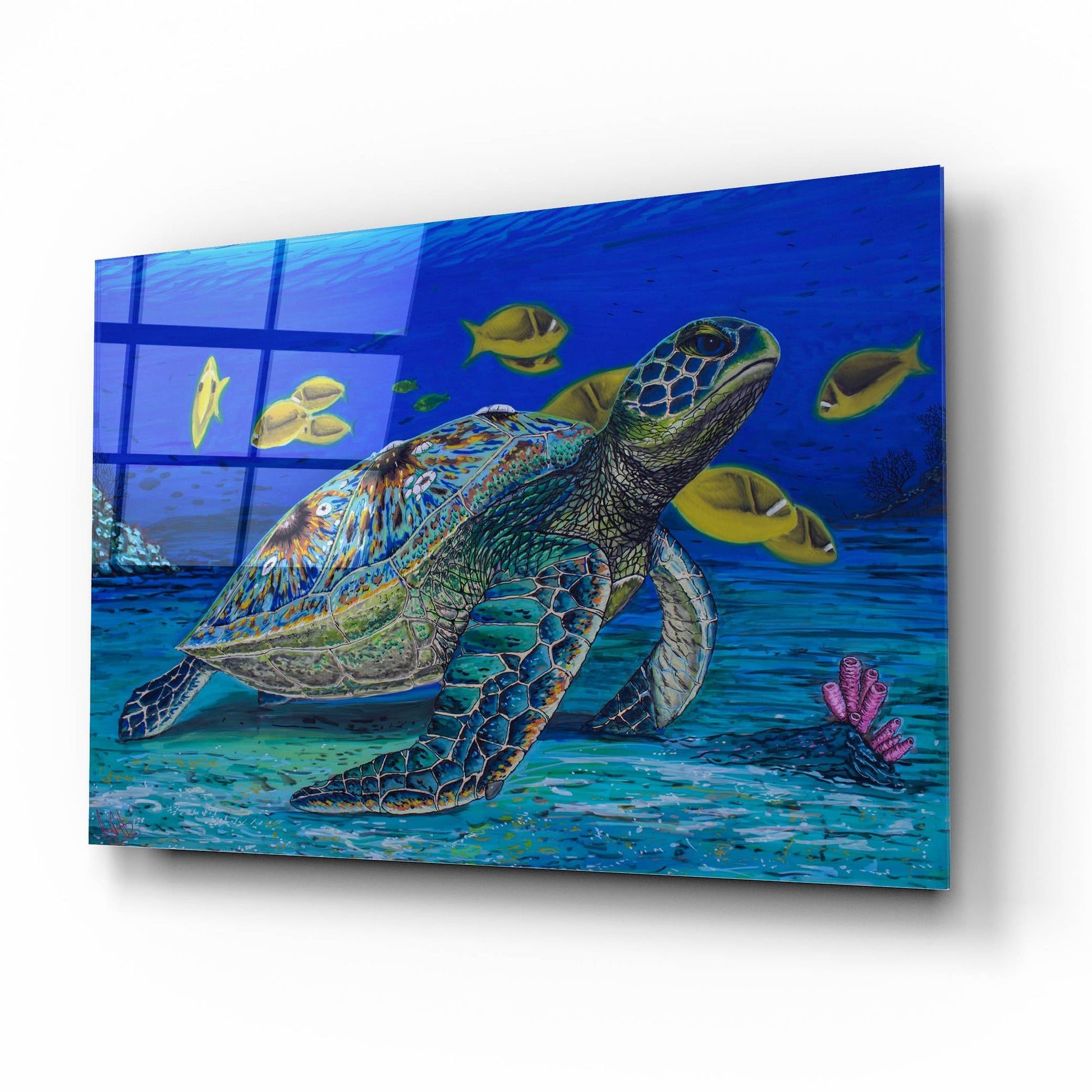 Epic Art 'Turtle Tale' by Martin Nasim, Acrylic Glass Wall Art,16x12